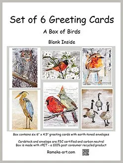 A Box of Birds by Rachel Kabelitz