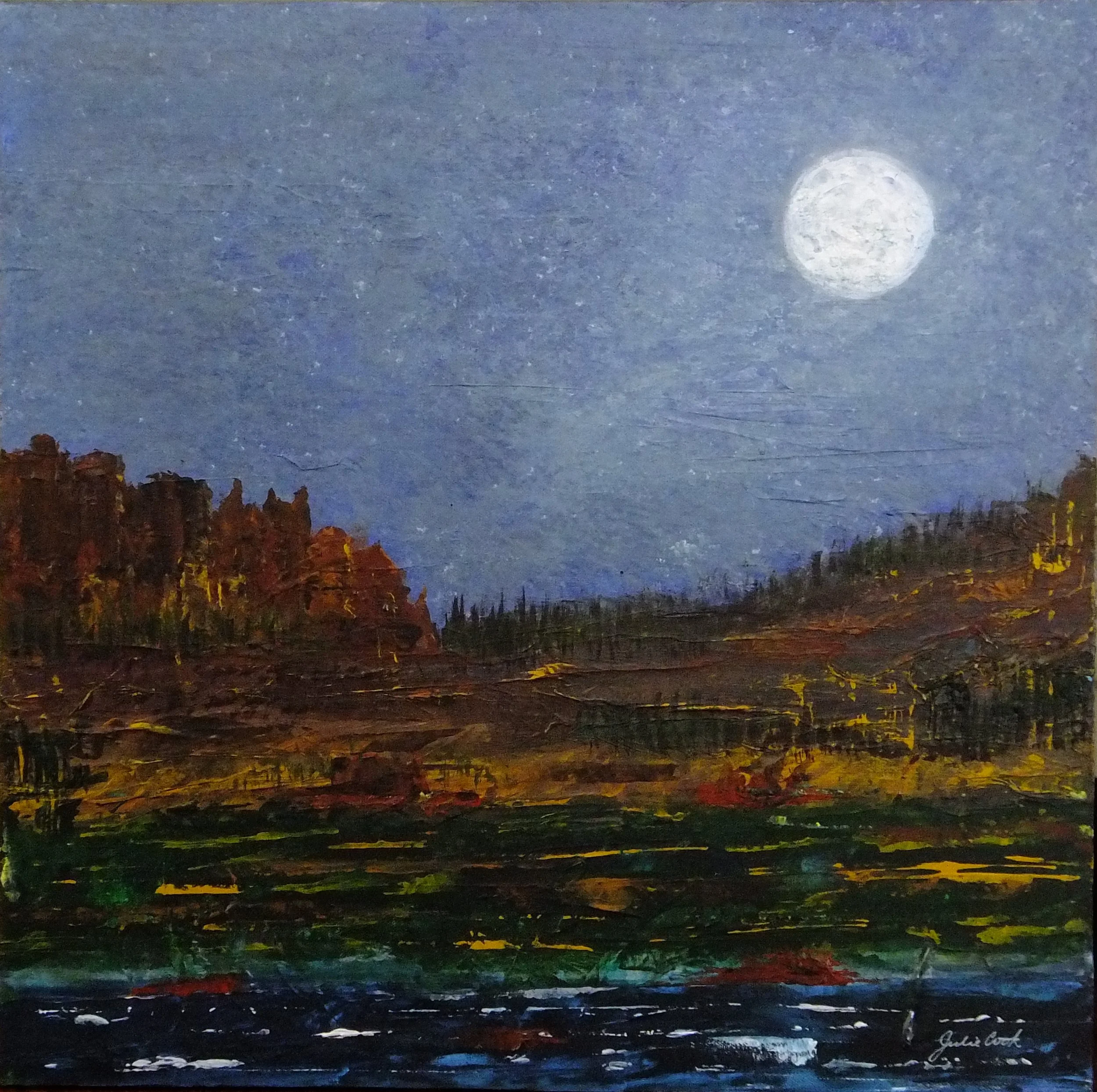 The Moon Shines Bright by Julie Cook