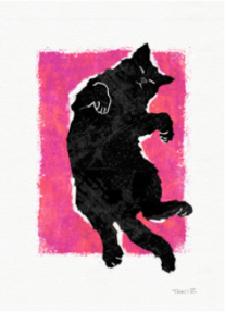 Belly Roll by Tracy Zakraysek