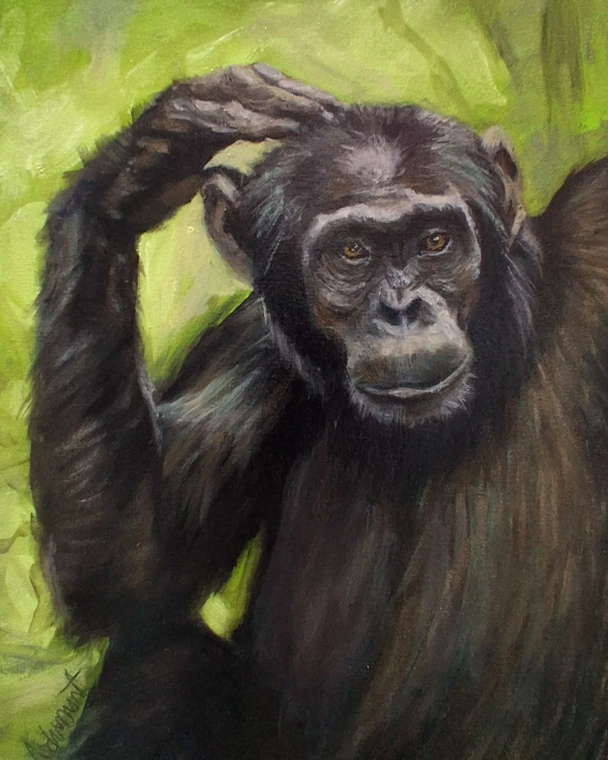 chimp.jpg