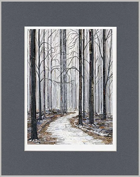 Icy Morning in Chapin Forest by Rachel Kabelitz