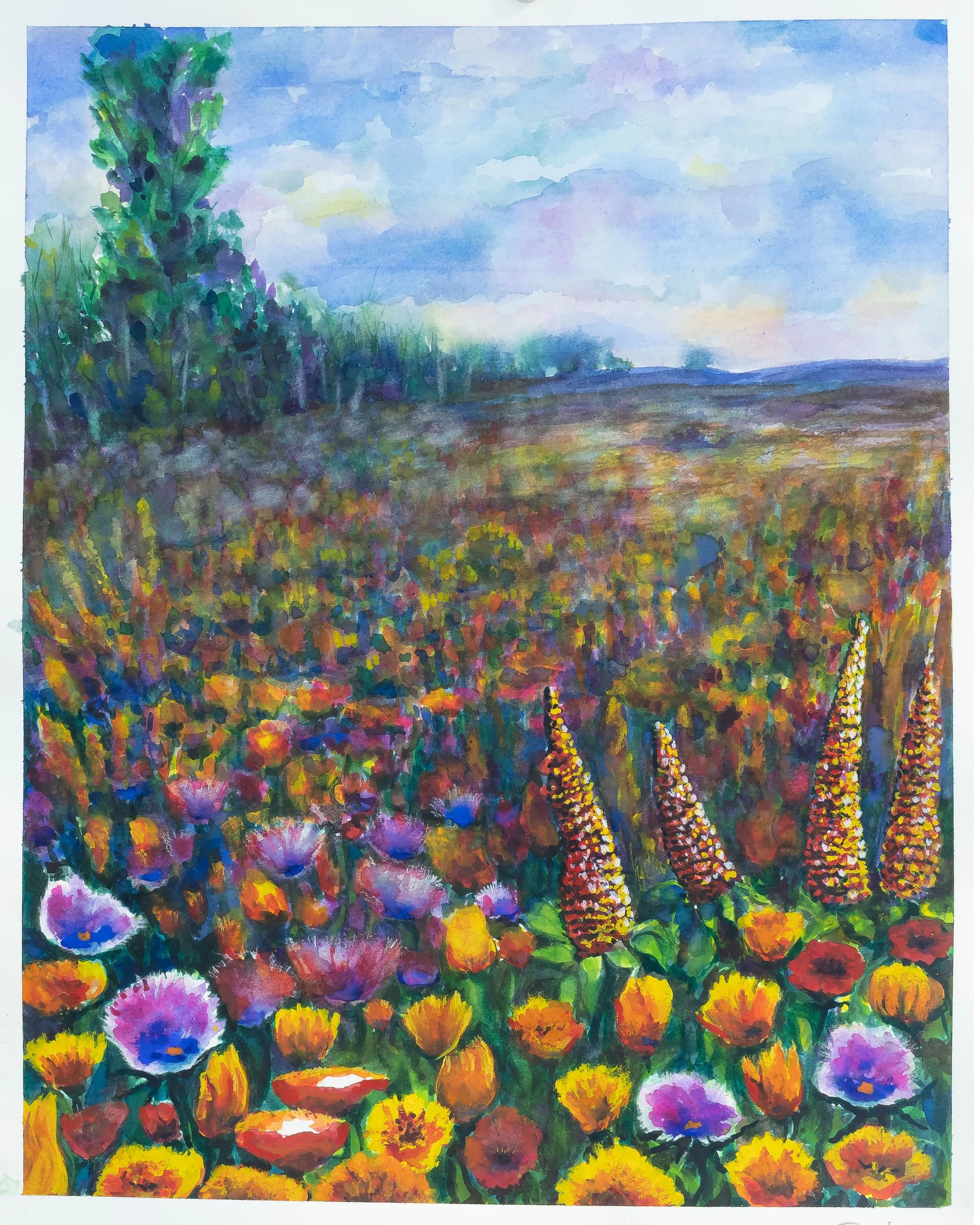 A Colorful Field by Darci Paulett