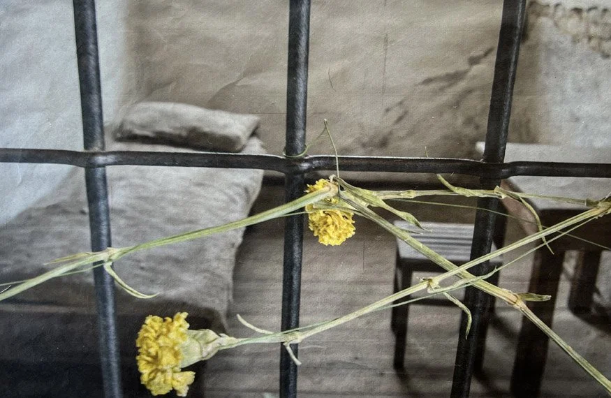 Neither a Door or a Window by Becky Grasser