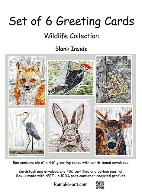 Wildlife Collection by Rachel Kabelitz