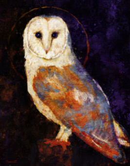 Barn owl.png