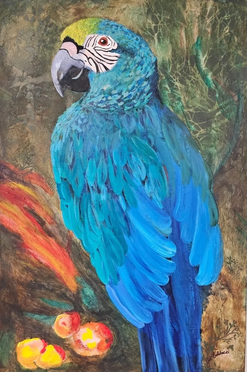 Blue Parrot by Jodi Baldacci