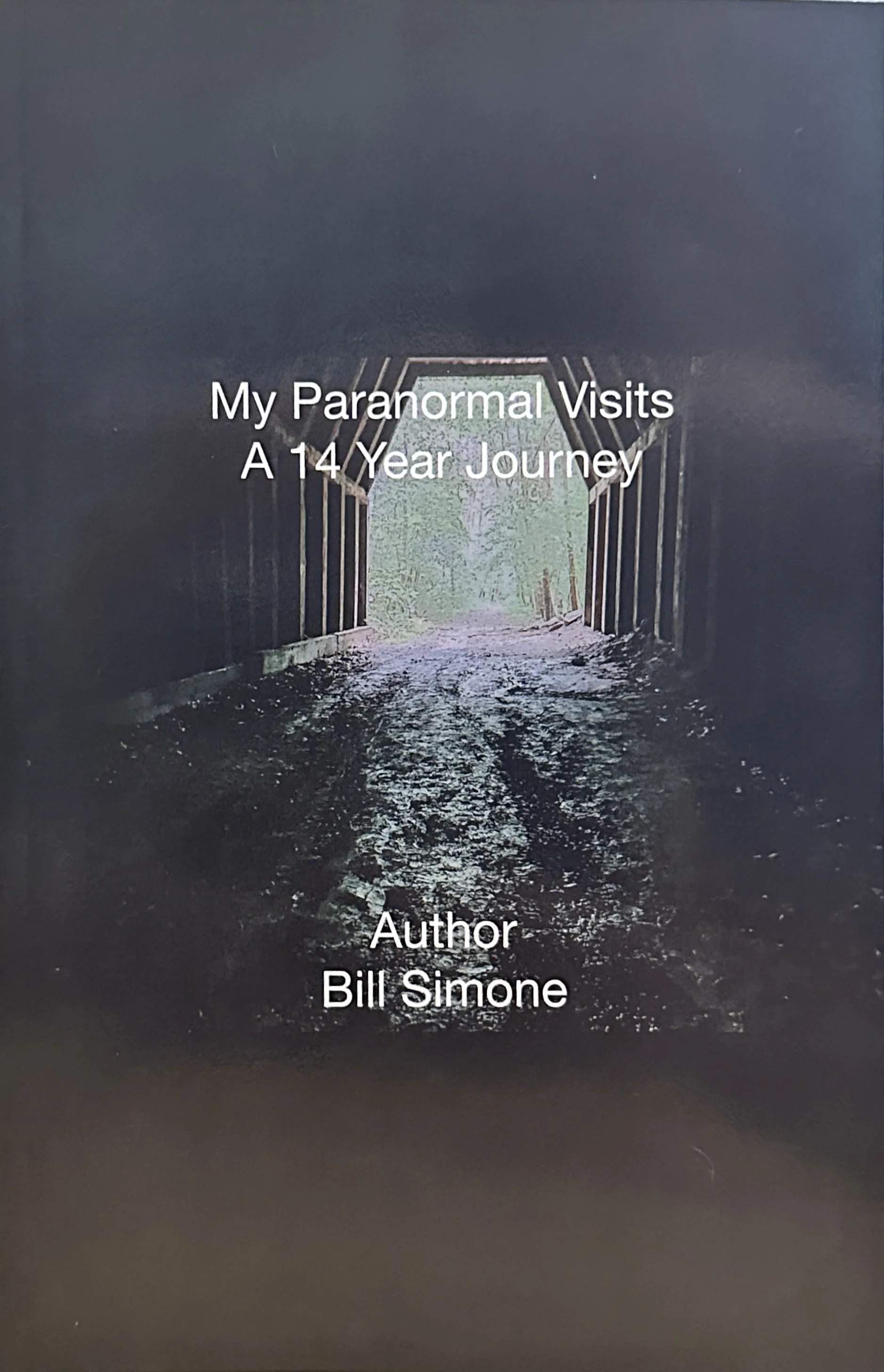 My Paranormal Visits 14 Year Journey by Angie Simone