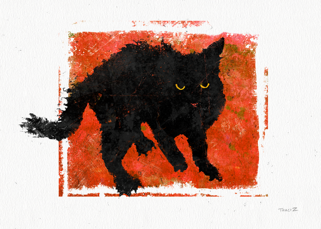 We are not Amused by Tracy Zakraysek