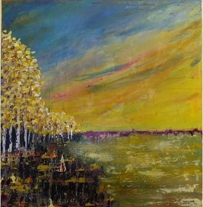 Lake Erie Sunset by Julie Cook