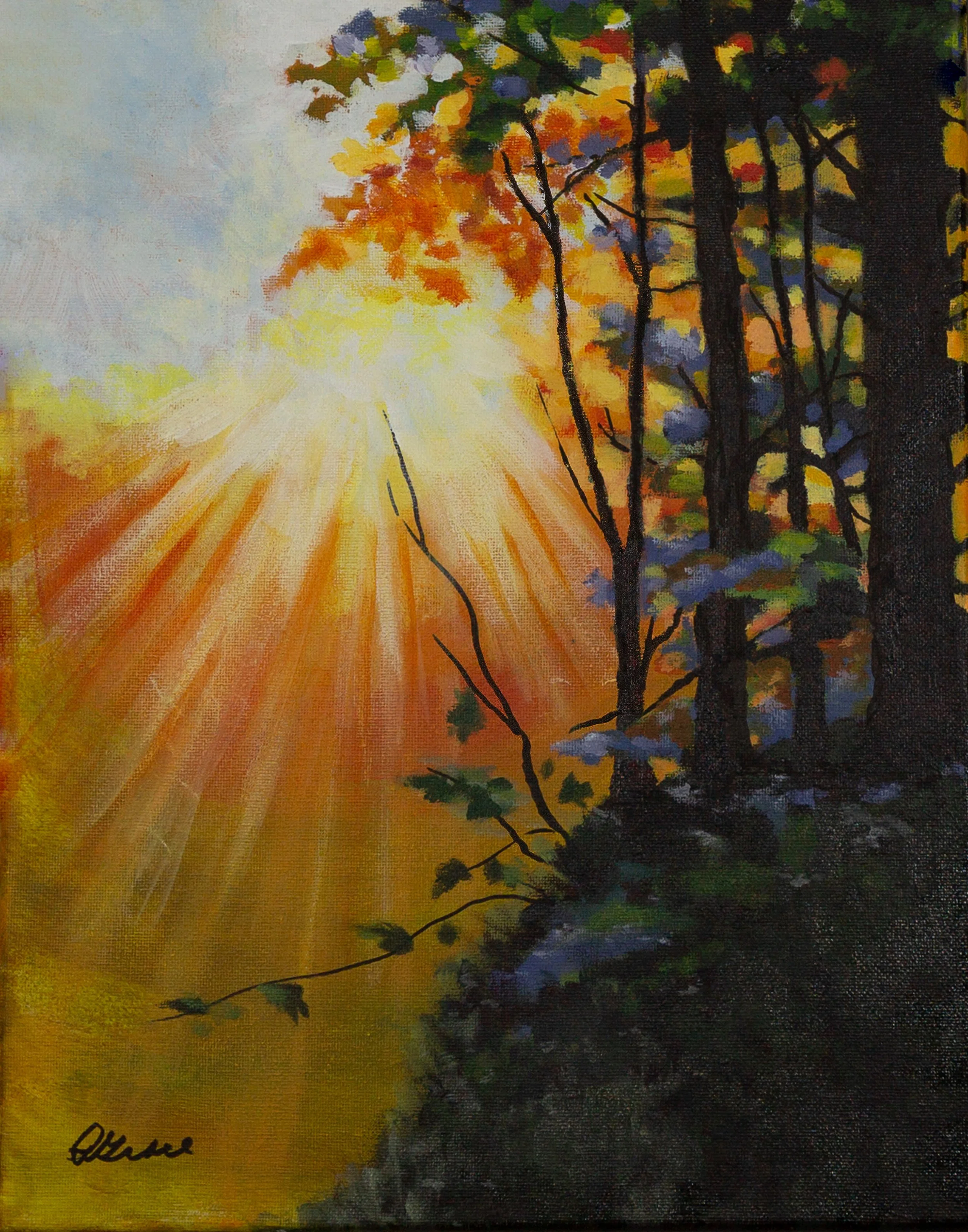 Radiance by Pat Grace