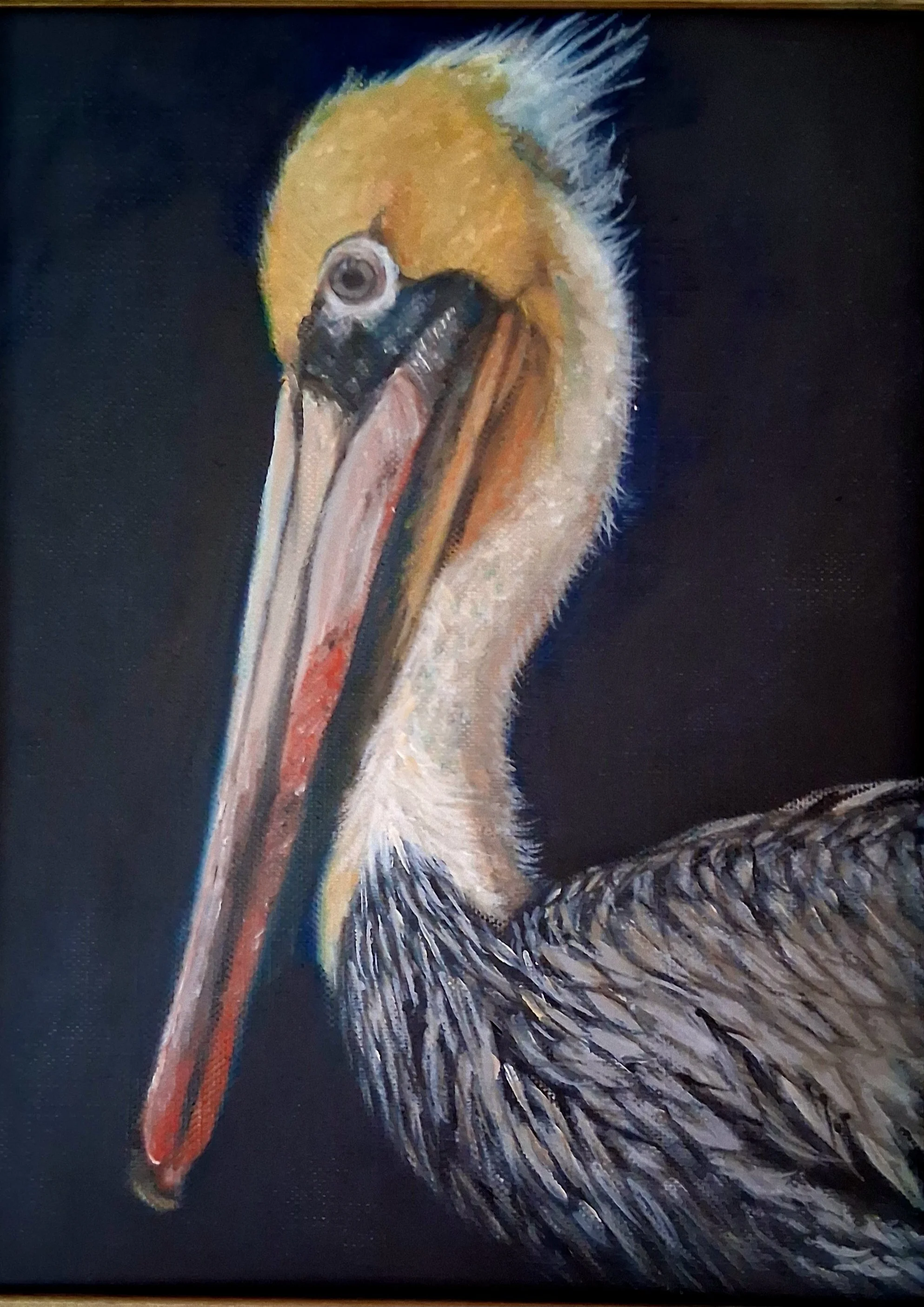 Pelican by Ann Dumont