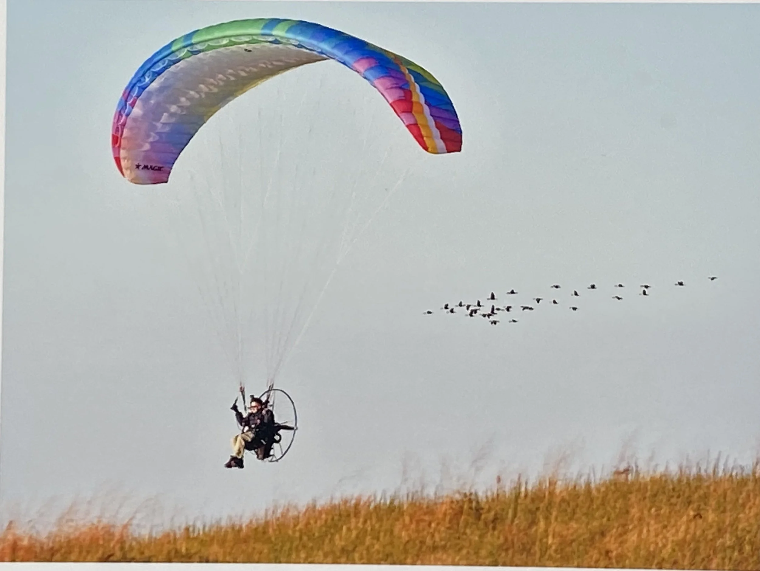 Joy Ride by Mike Watkins