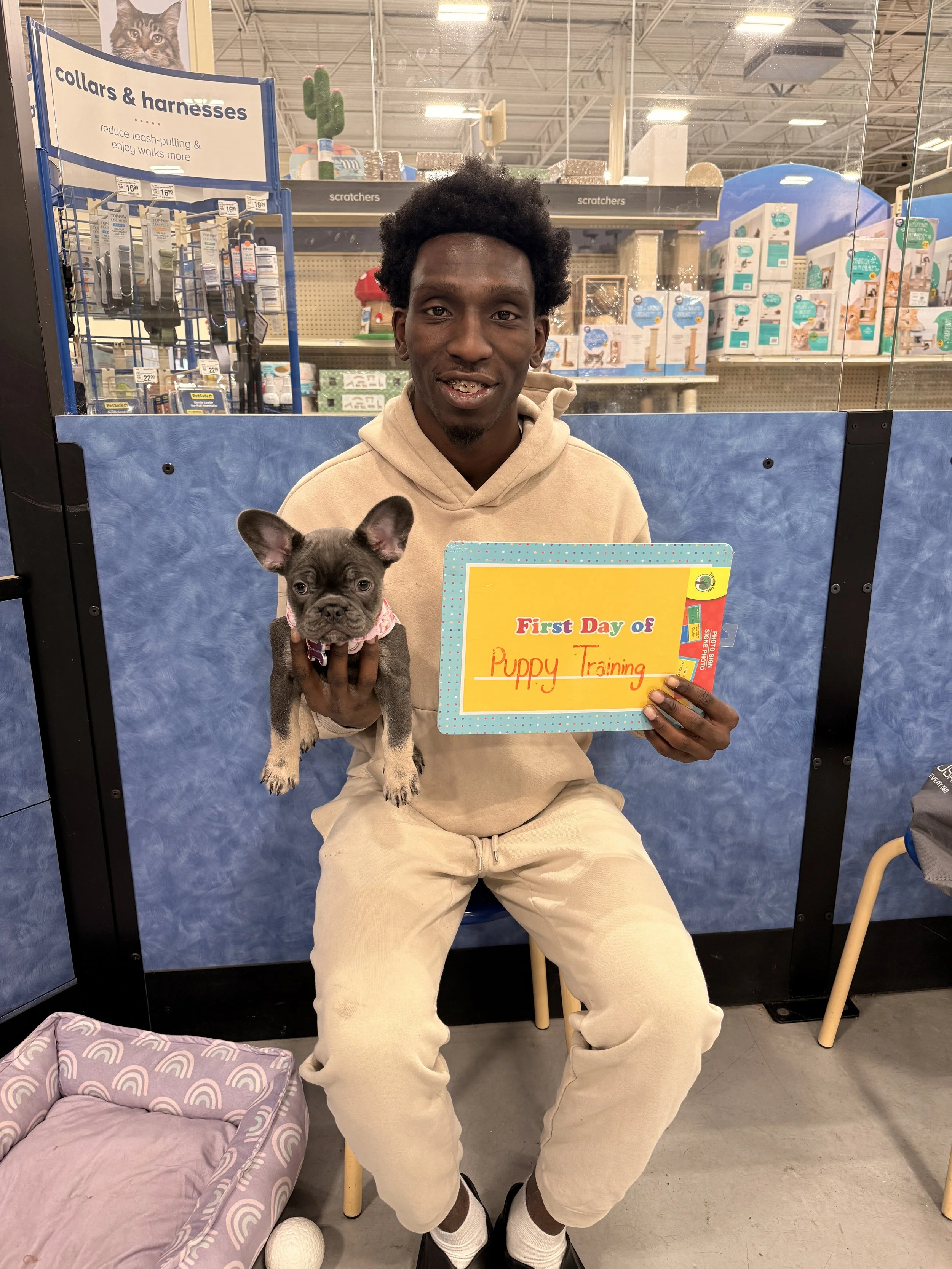 A young man sitting on a chair inside a pet store, holding a small puppy and a colorful sign that says 'First Day of Puppy Training.' The puppy has large ears and a black and gray coat. The background shows store shelves with pet supplies and a sign for collars and harnesses.