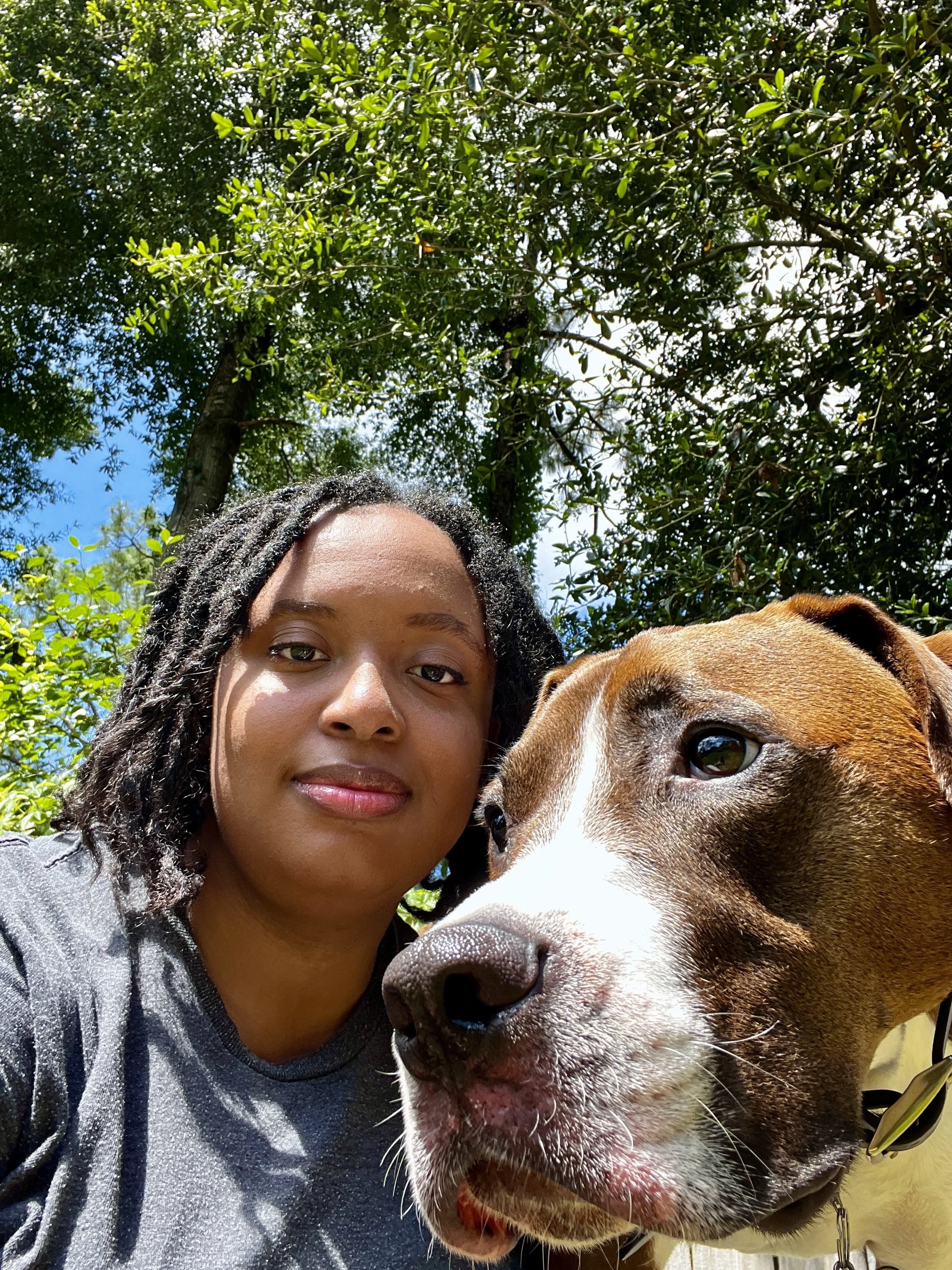 A woman and a brown and white dog outdoors on a sunny day with green trees and blue sky in the background.