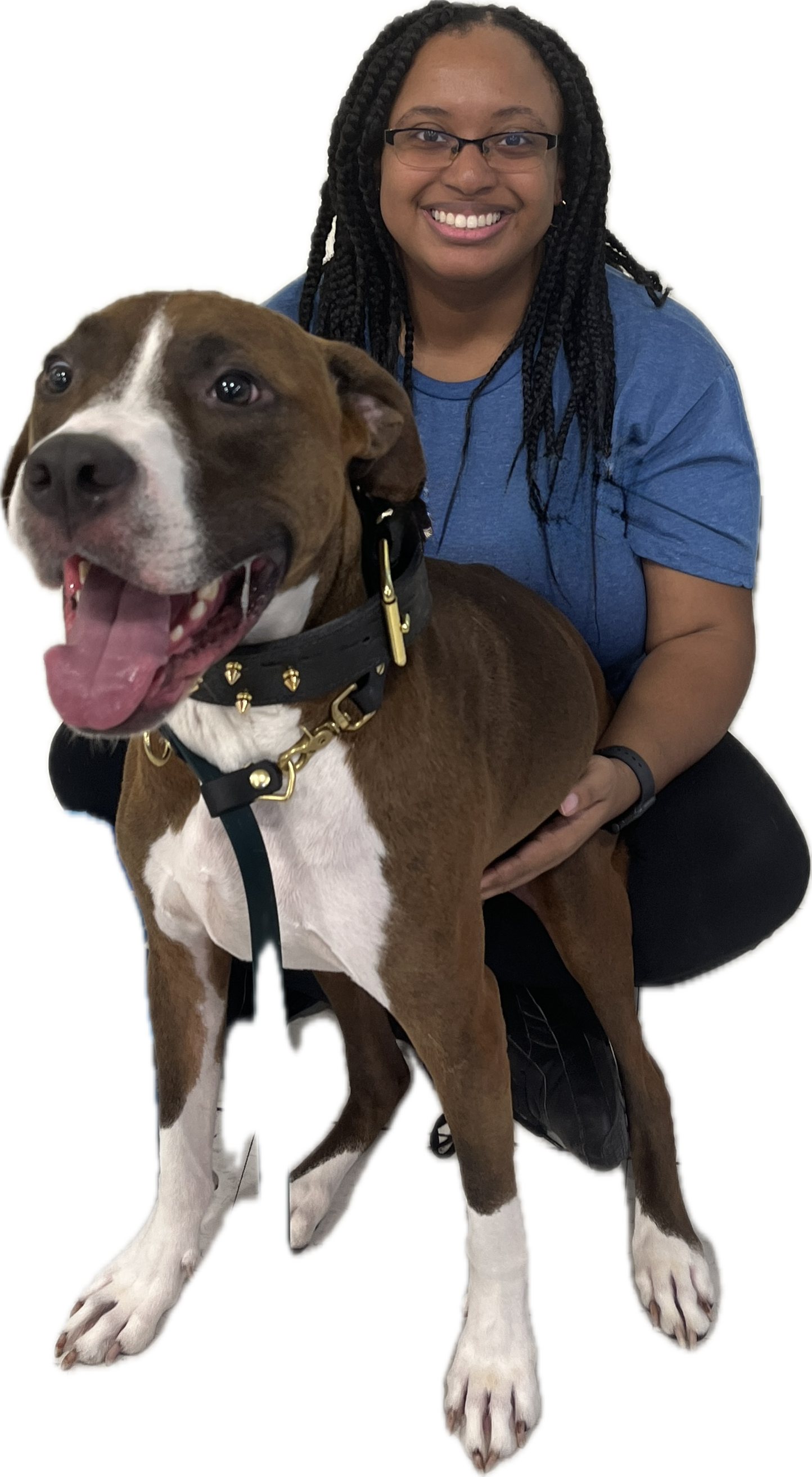 A woman with glasses and long black braided hair, wearing a blue shirt, kneeling beside a large brown and white dog with a black collar, both smiling.