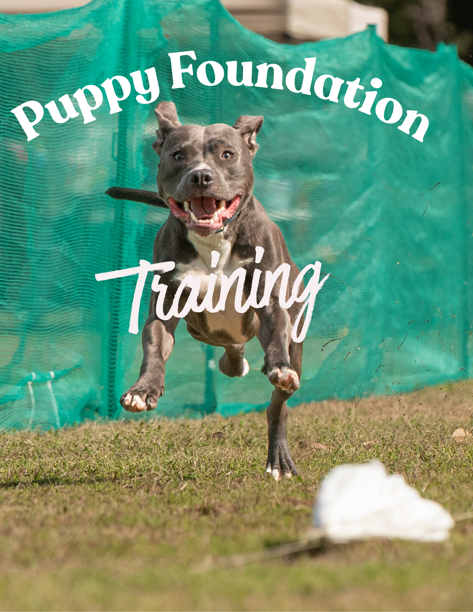 Foundation Program