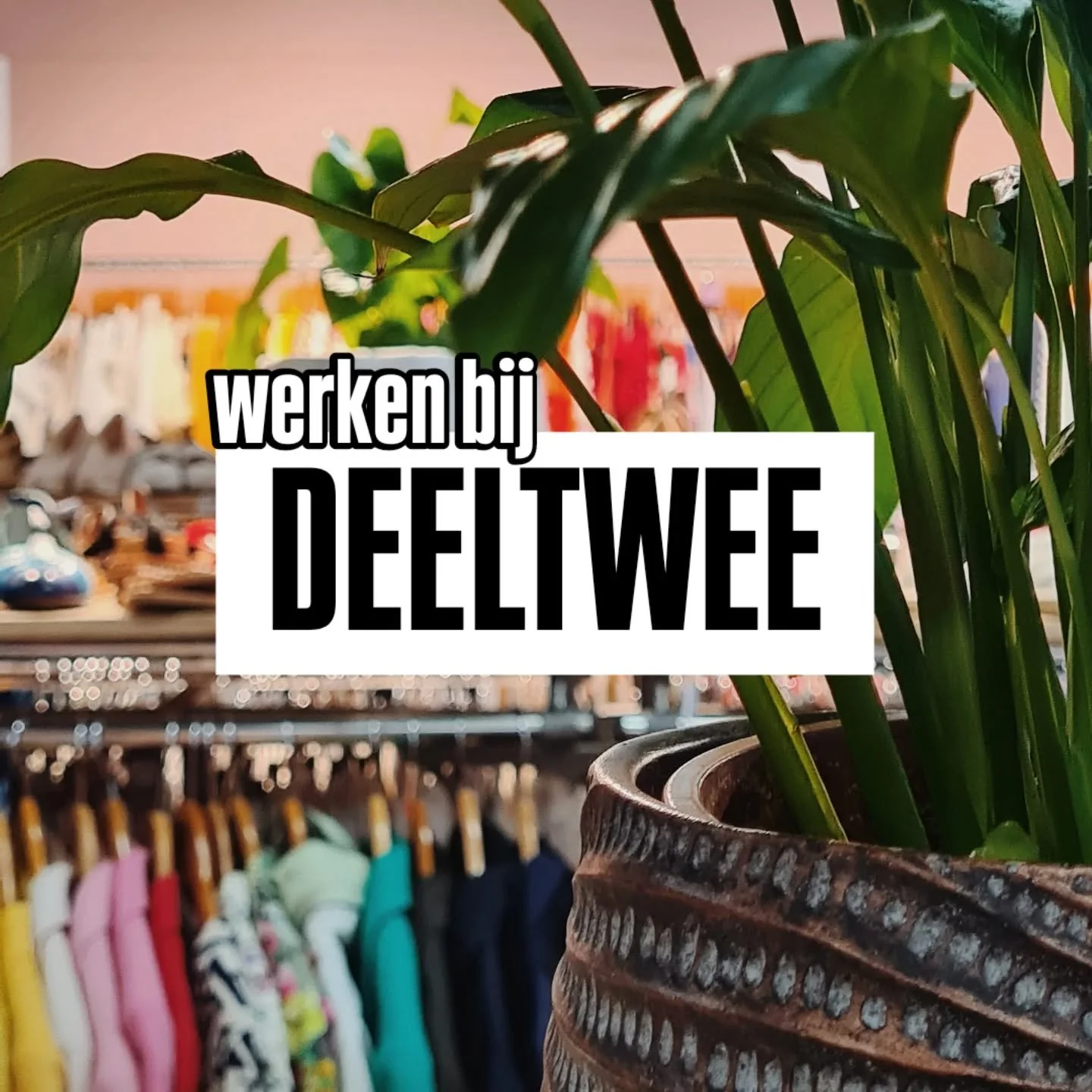 Lees meer! ⬇️

Doe jij binnenkort examen? En heb je daarna wat tijd over? Wij hebben in de maanden juni, juli en augustus extra handjes nodig!

Dus, zoek jij een bijbaan en ben je flexibel inzetbaar? Stuur ons een berichtje!

Groetjes Deeltwee ♻️❤️