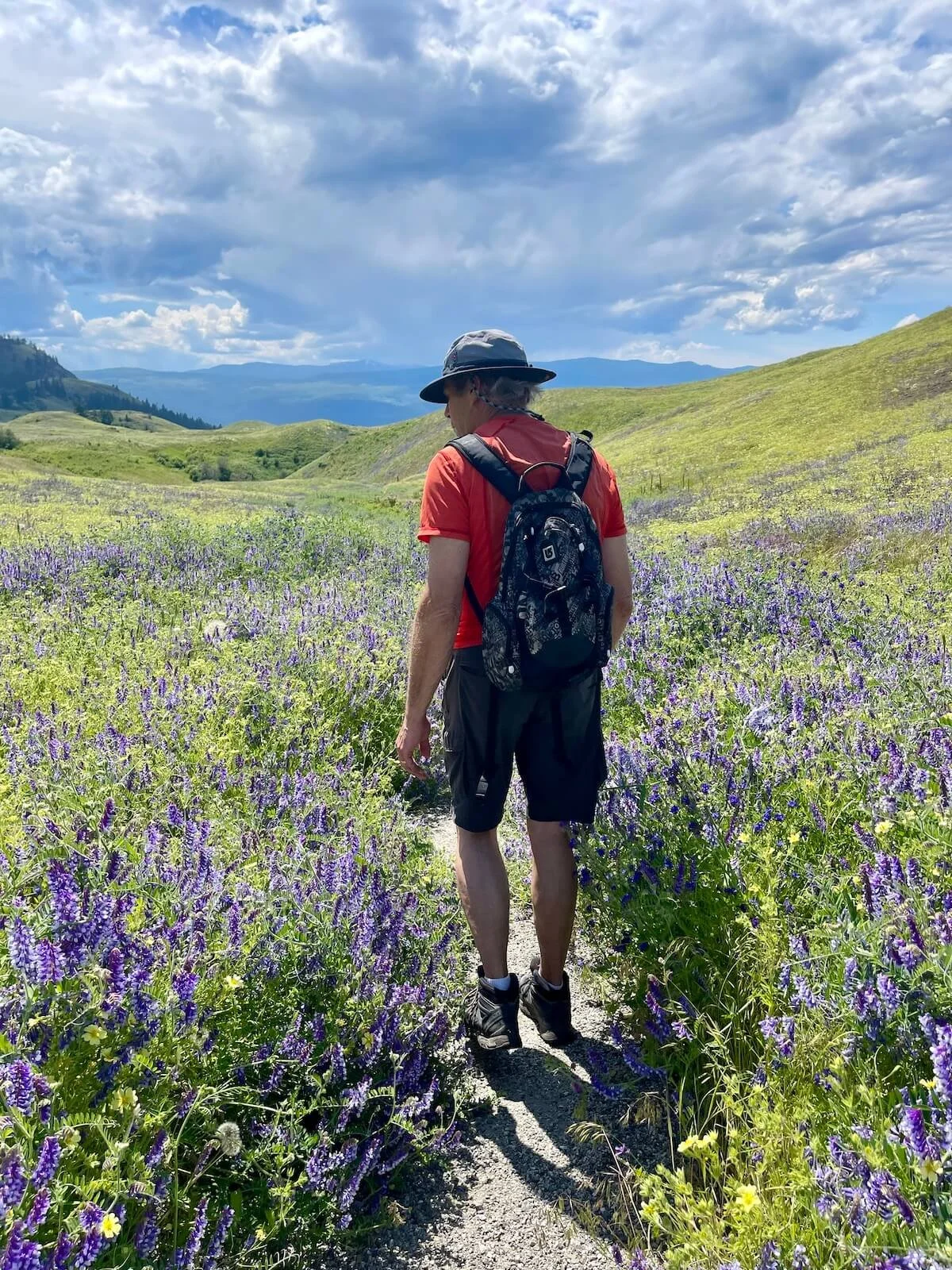 Vacation rental in Kelowna close to hiking trails in the Okanagan Valley