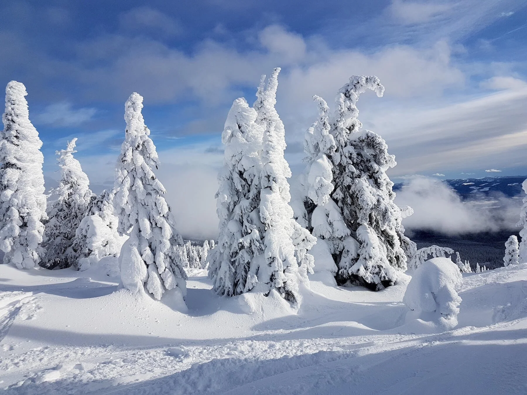 Vacation rental in Black Mountain, Kelowna - perfect for a winter stay