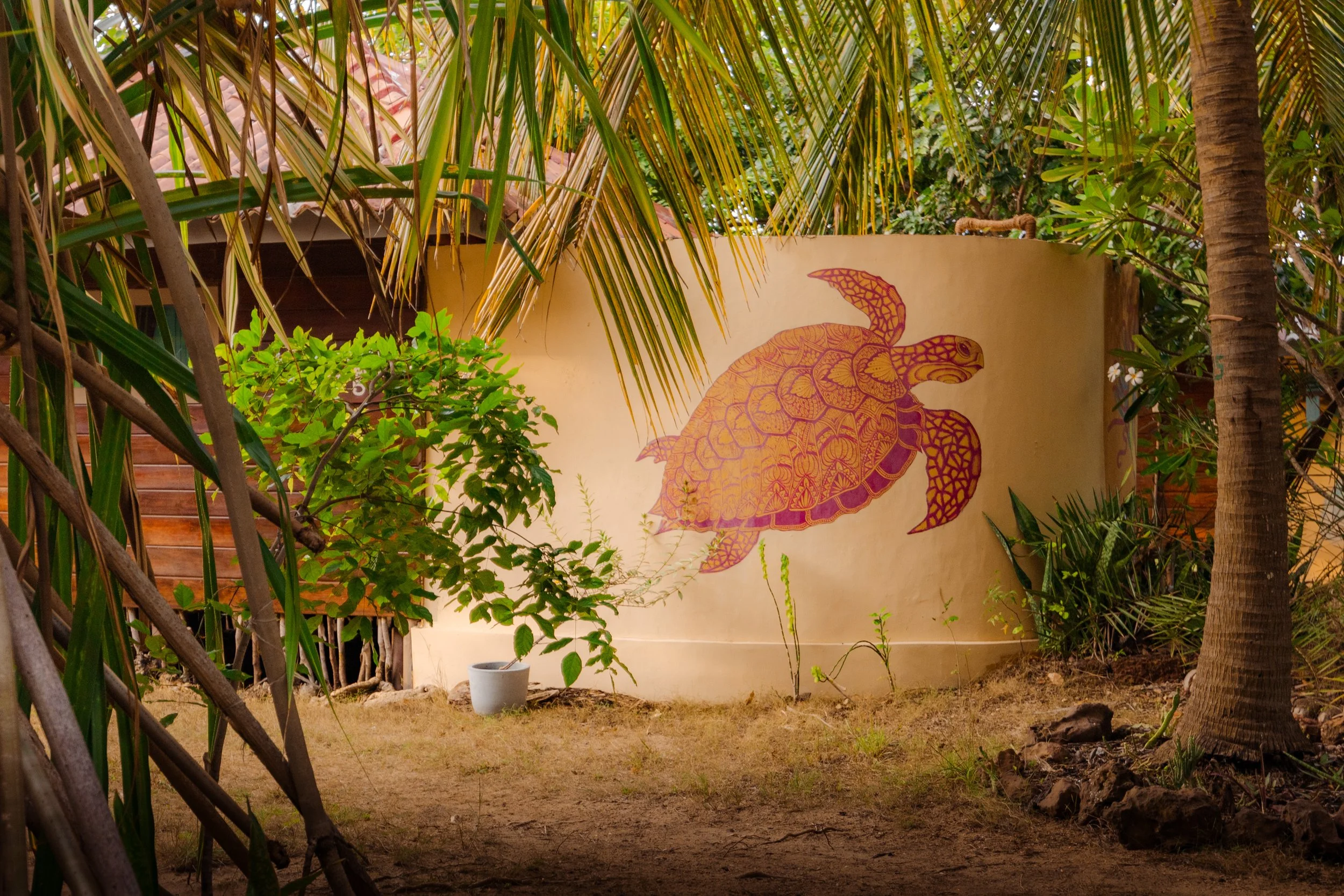 KAITSERFING LANKA-83.jpg