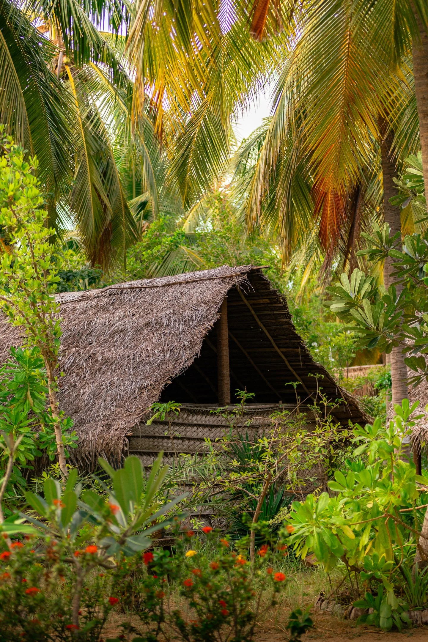 KAITSERFING LANKA-14.jpg