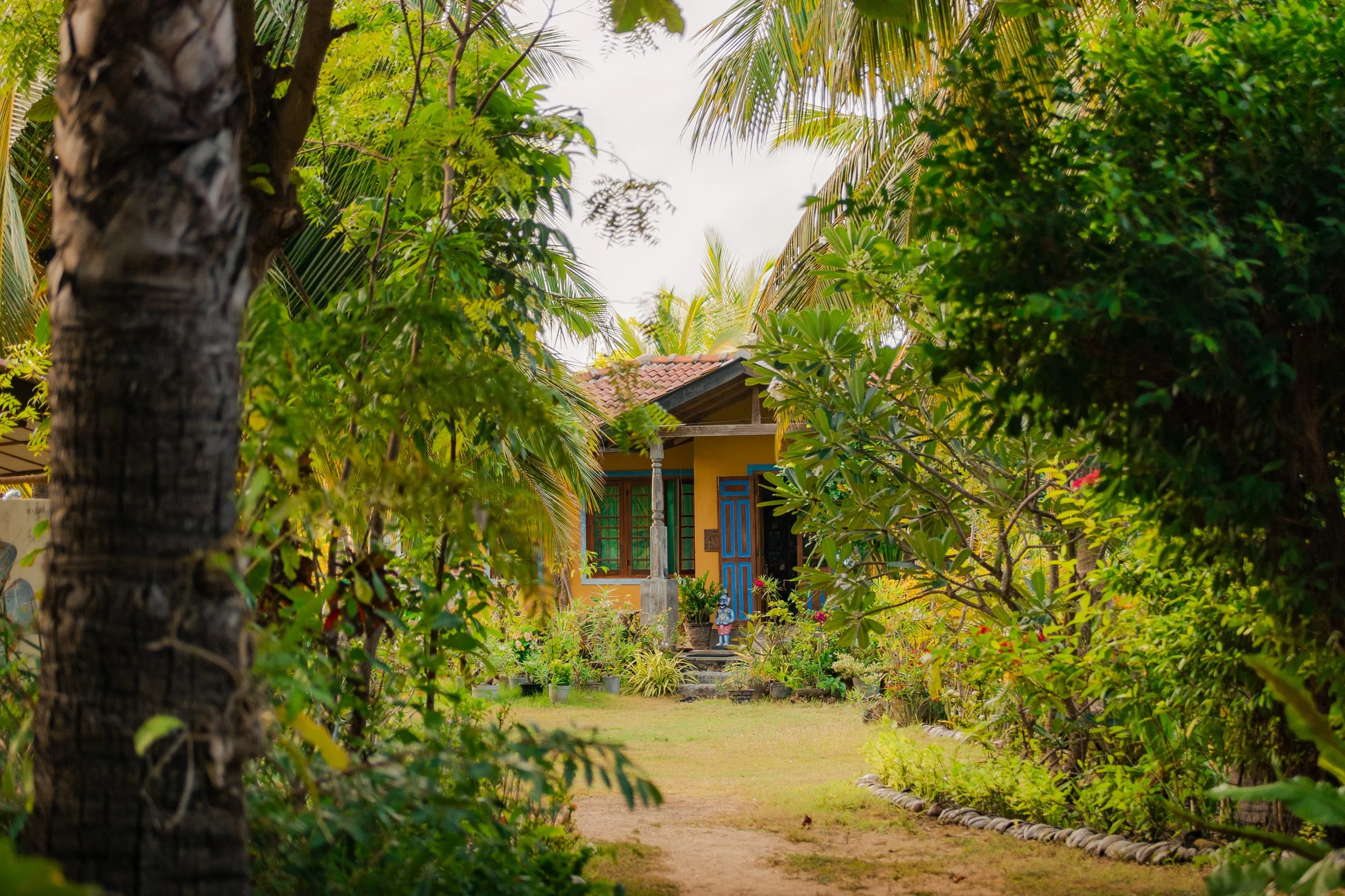 KAITSERFING LANKA-70.jpg