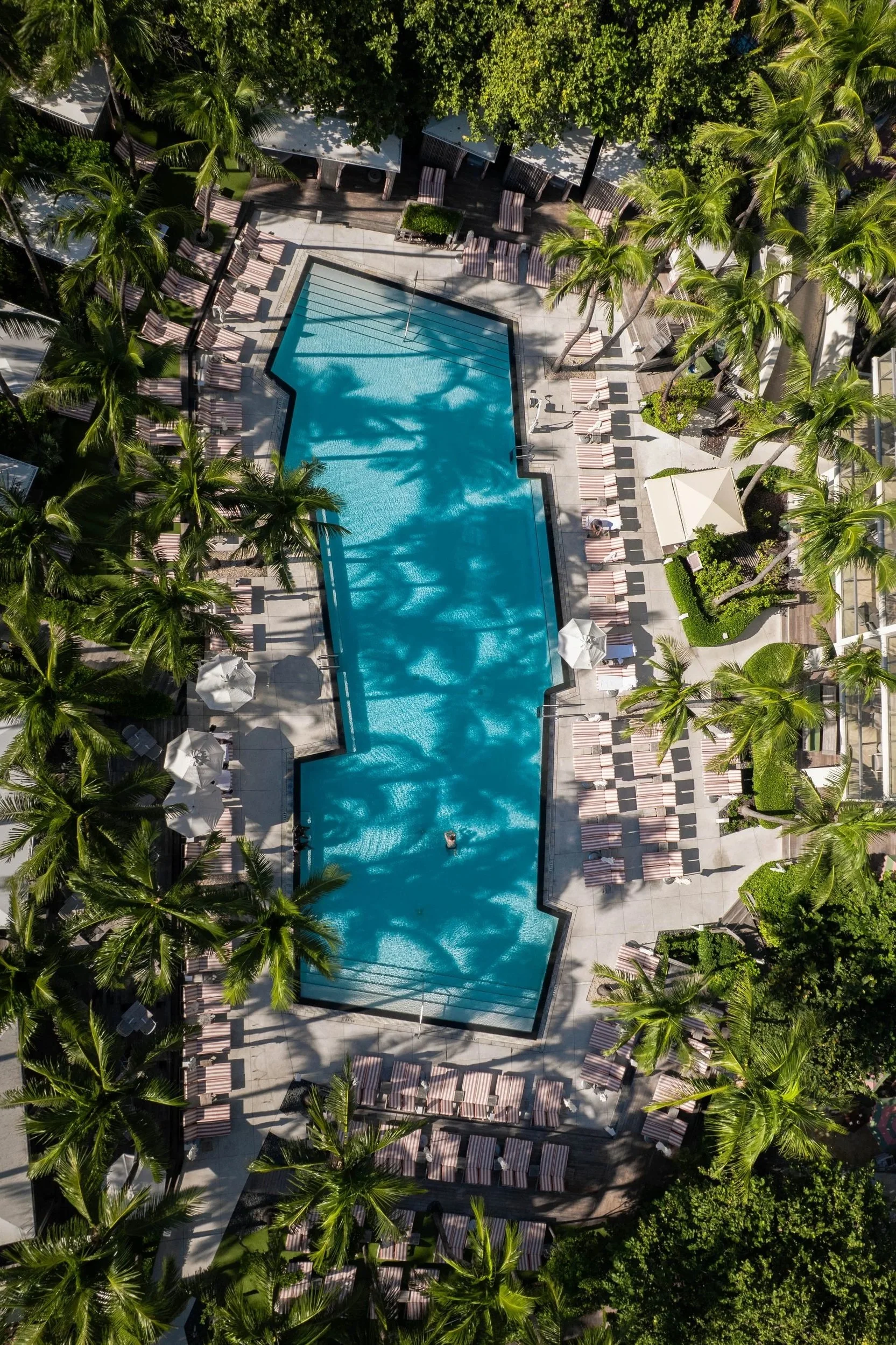 An aerial view of a swimming pool surrounded by palm trees, lounge chairs, and shaded areas at a resort.