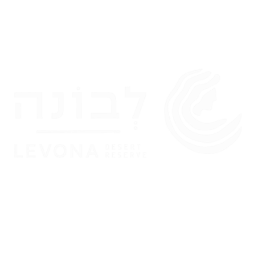Logo of Levona Hotel with Hebrew text, English name, and a stylized circular design