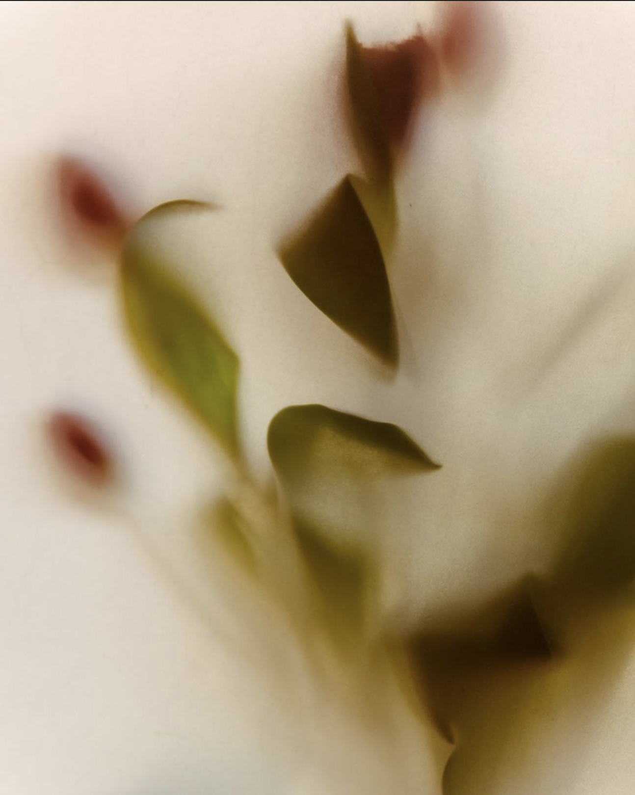 Screenshot 2026-02-28 at 02.36.58.png