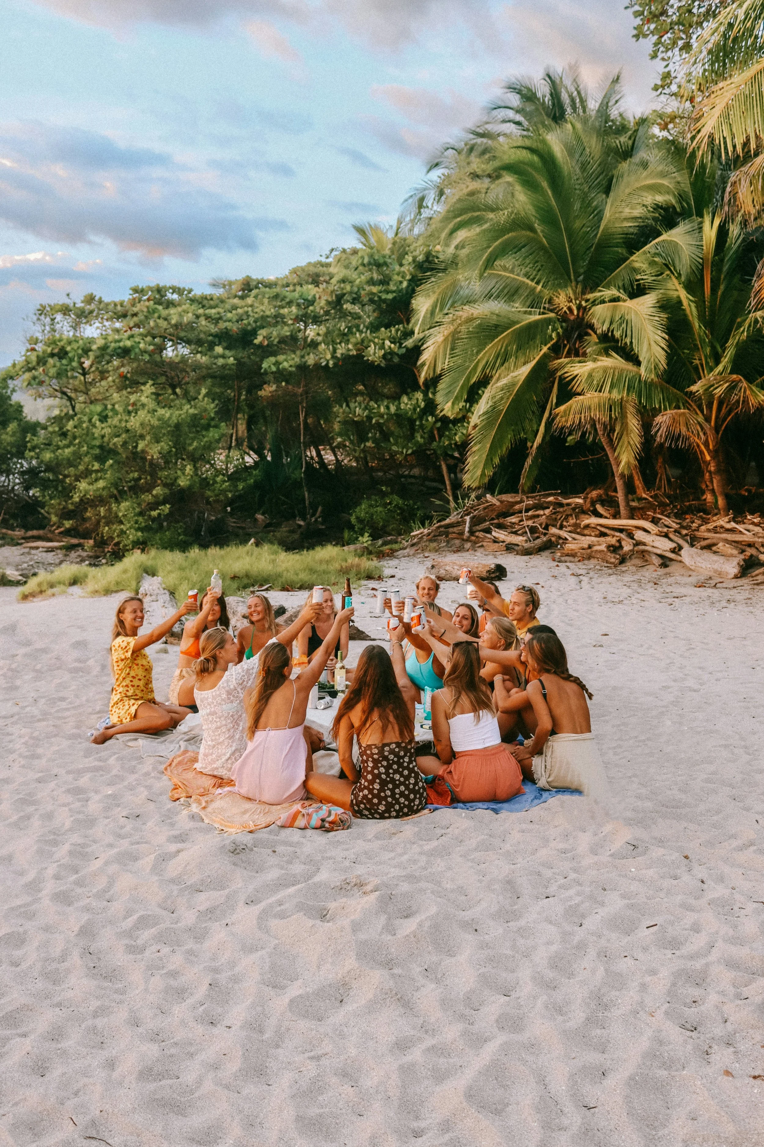 Paperwings & Co. LLC., Tori Jackson. Luxury leisure, group, multi-generation travel. A group of people having a beachside picnic and raising their drinks in a toast on the sand, with tropical trees in the background.