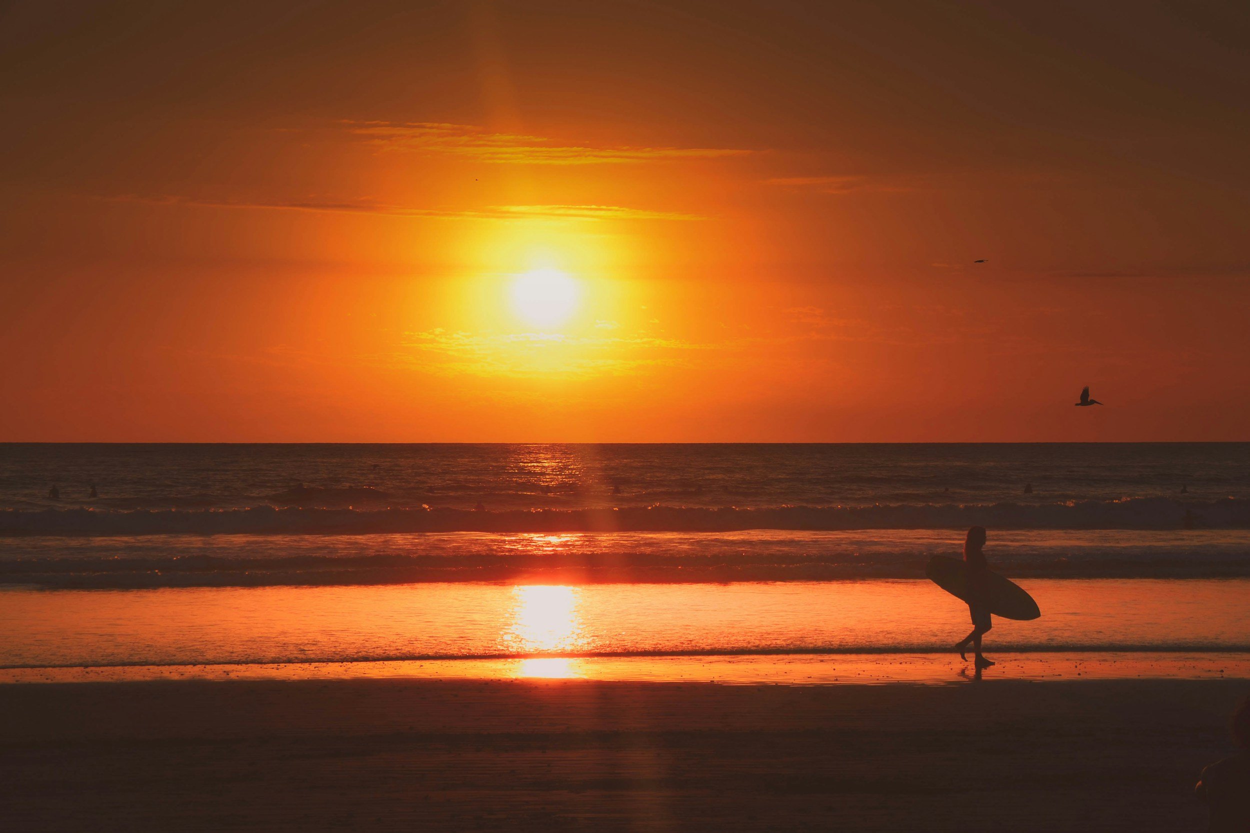 A silhouette of a person carrying a surfboard walking along the beach during sunset, with the sun low on the horizon, casting an orange glow across the sky and reflecting on the water. Birds are flying in the sky.