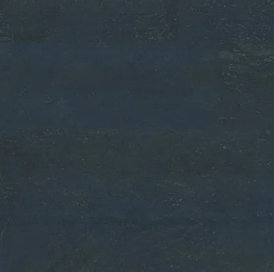 RECOLOUR BLUEMOON