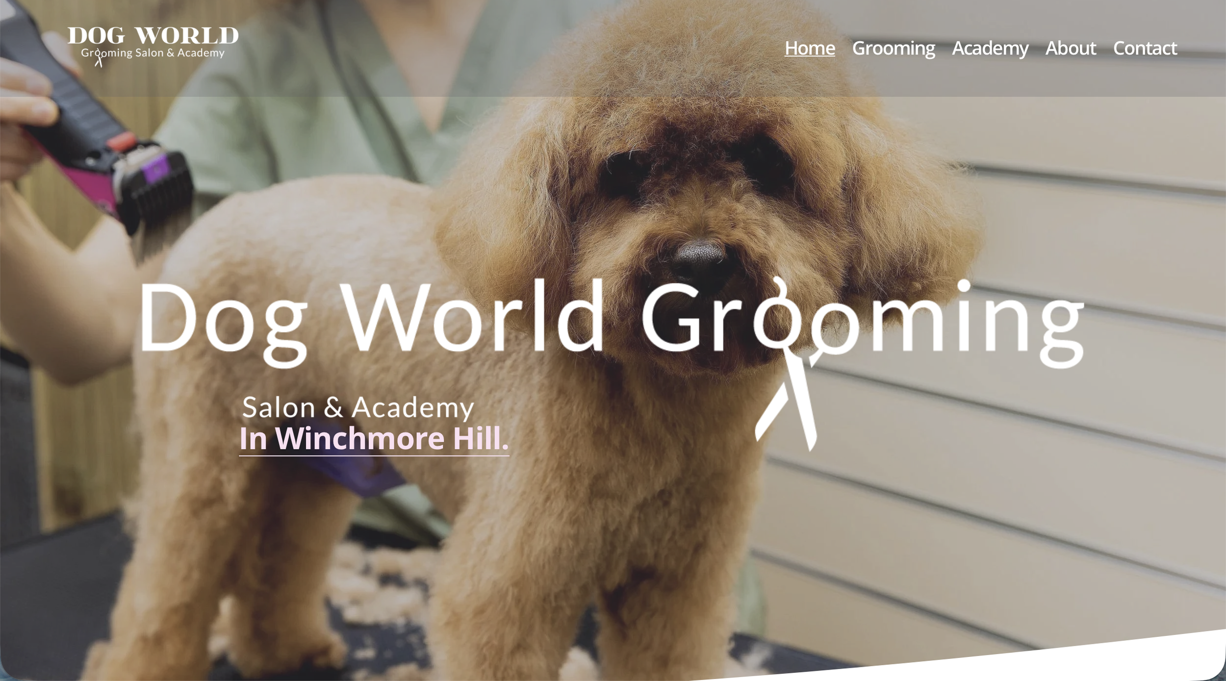 Dog World Grooming & Salon