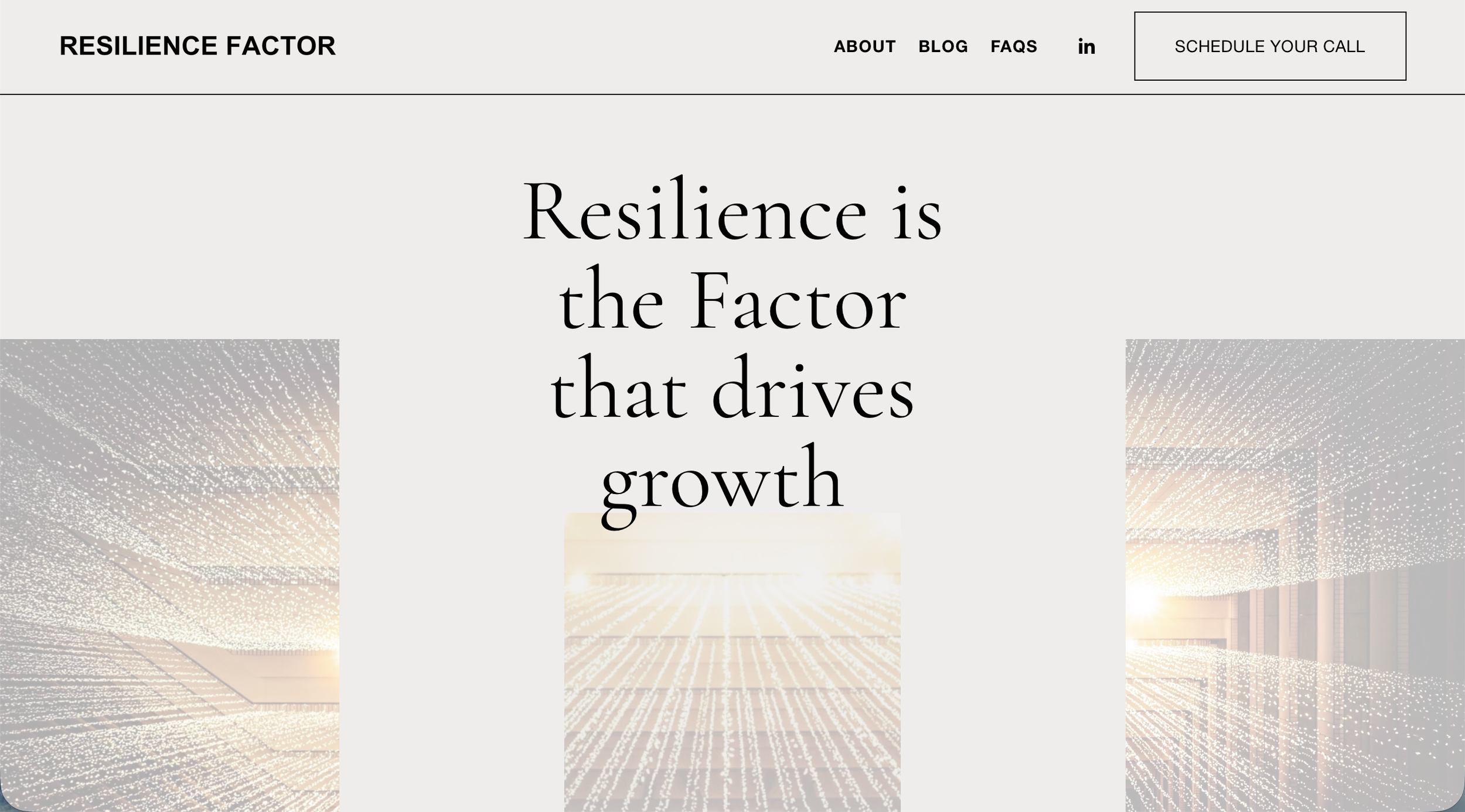 Resilience Factor Consulting
