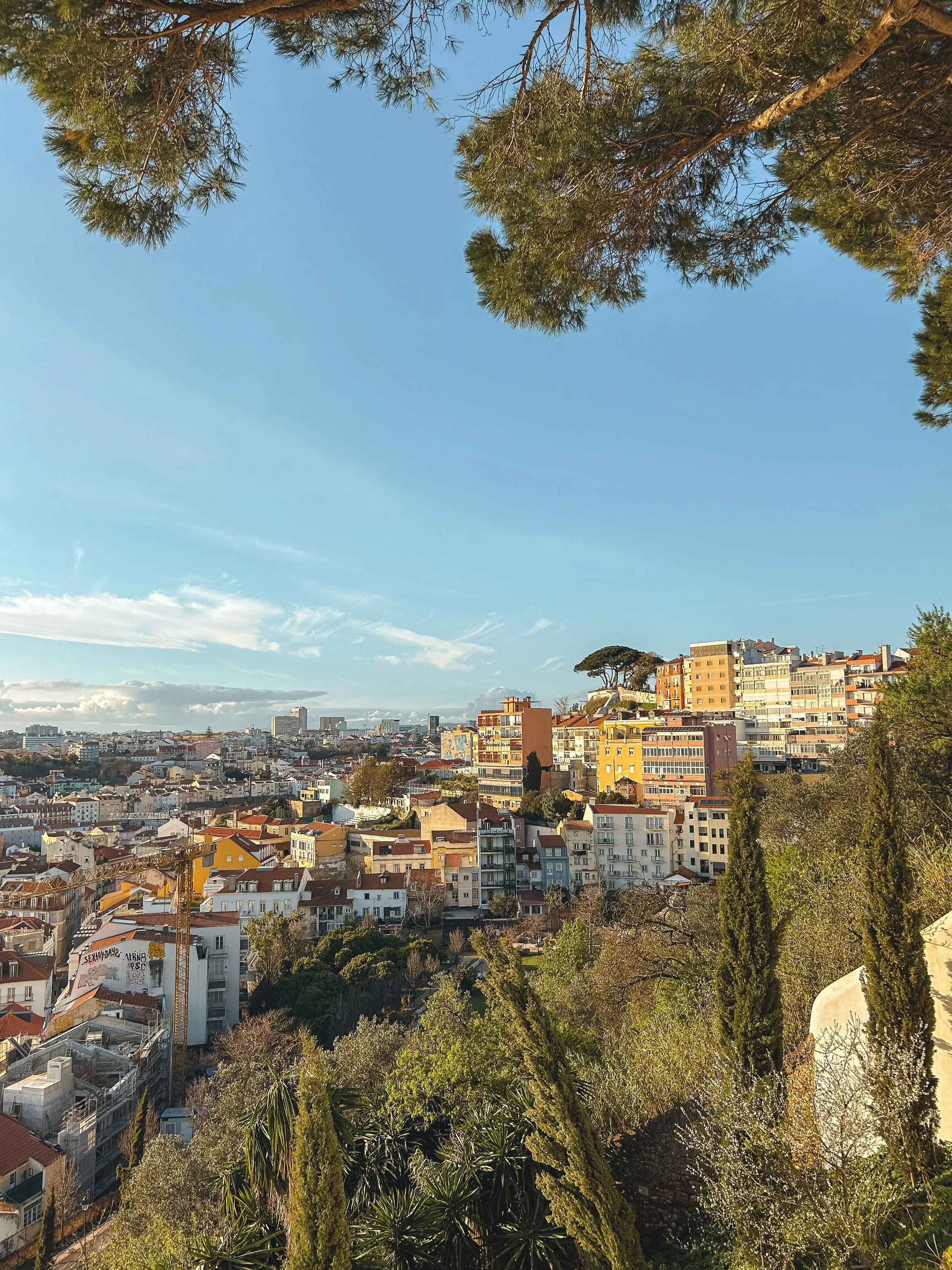 IMG_6554.jpg
