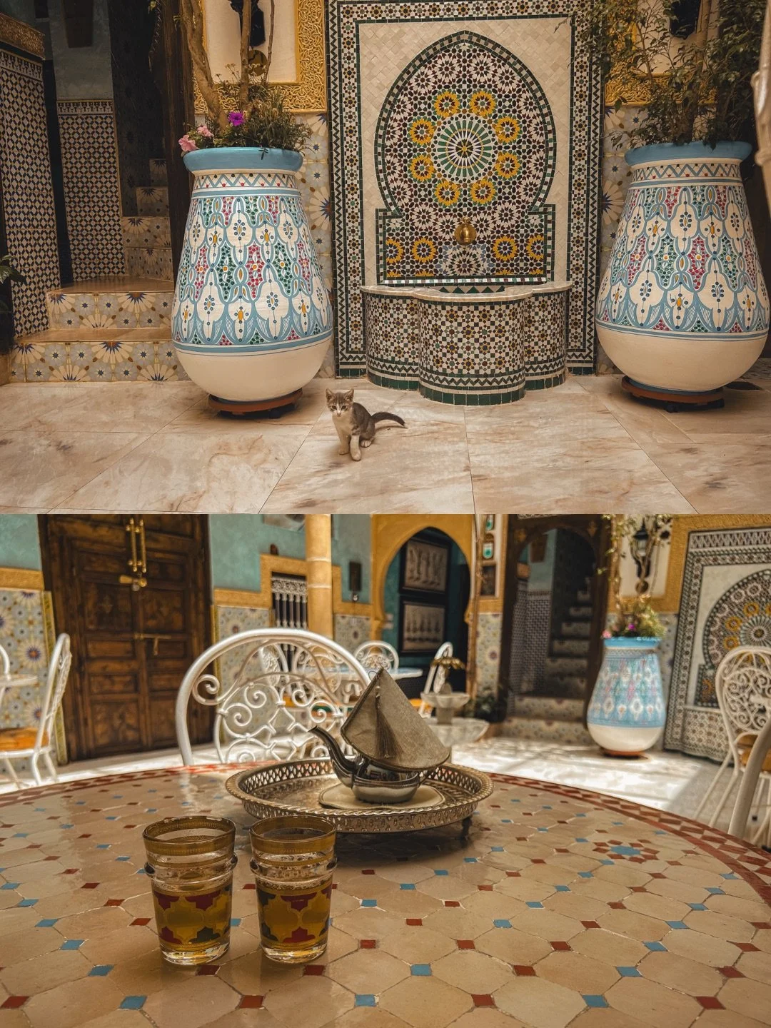 copy_1399044F-0072-46F1-A7E7-46DA23E7922F.png