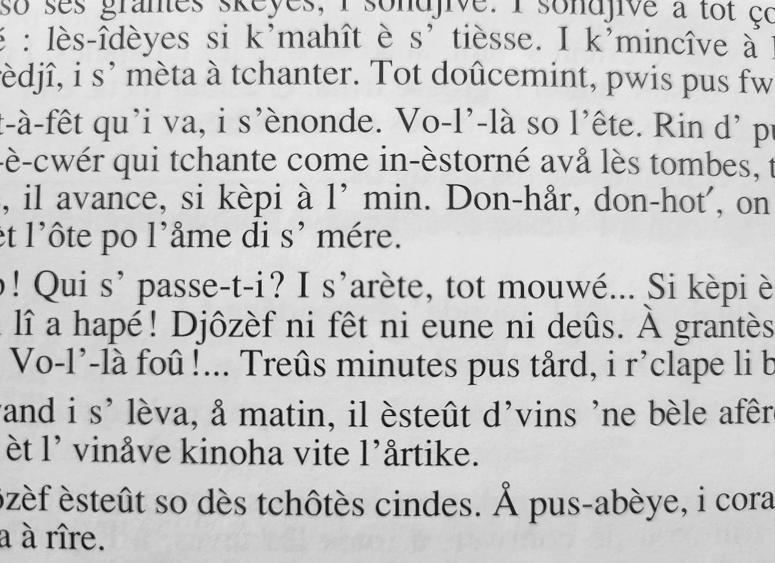 VII. I ty możesz mówić po (wschodnio)walońsku!