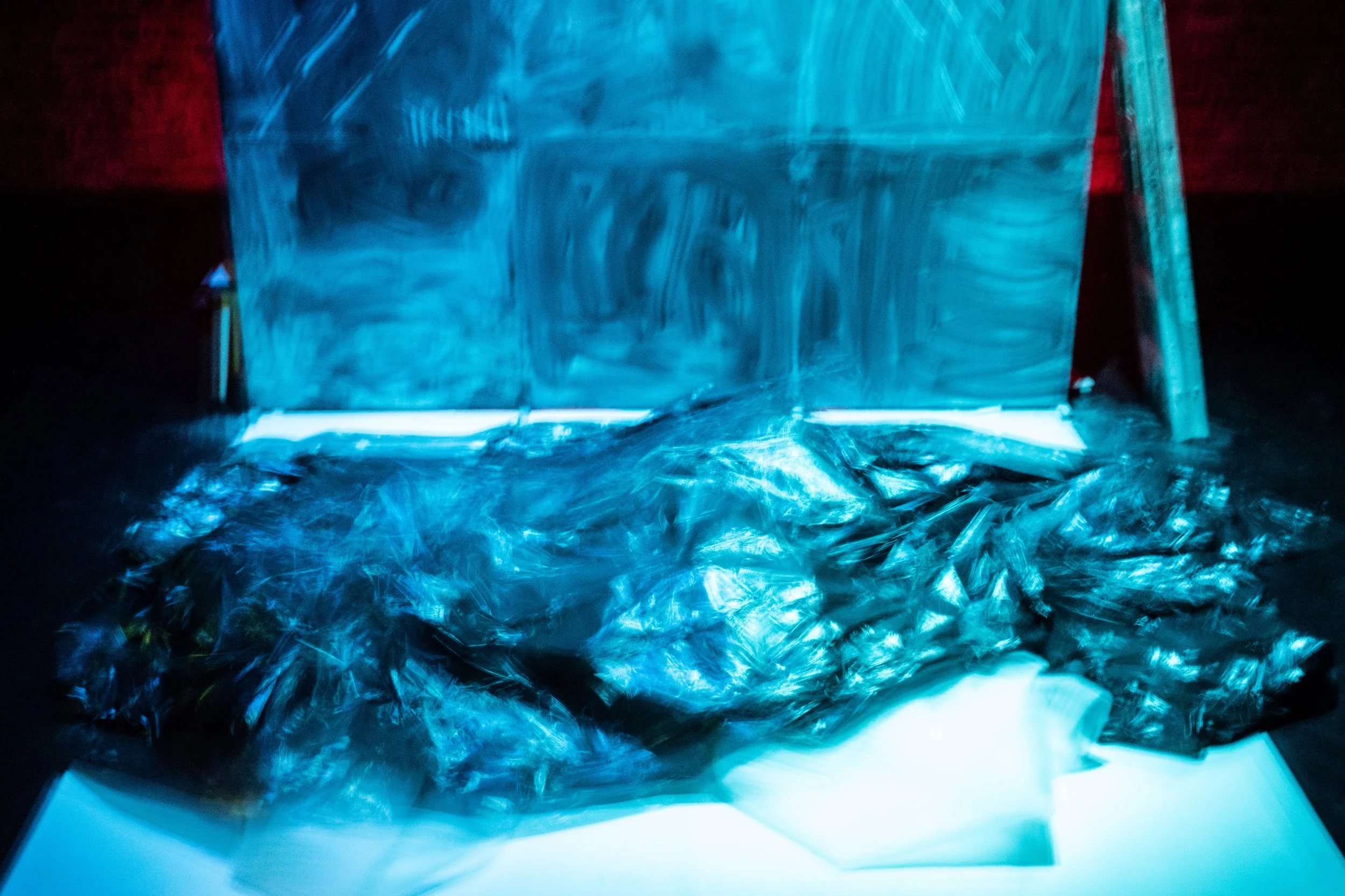 Fot_Tobiasz Papuczys (40).jpg