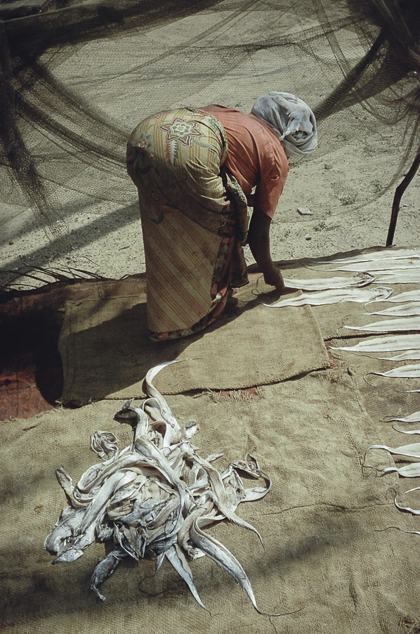 Una donna che lavora con pesce su una superficie di tessuto, con pezzi di pesce appesi e pronti per essere essiccati.