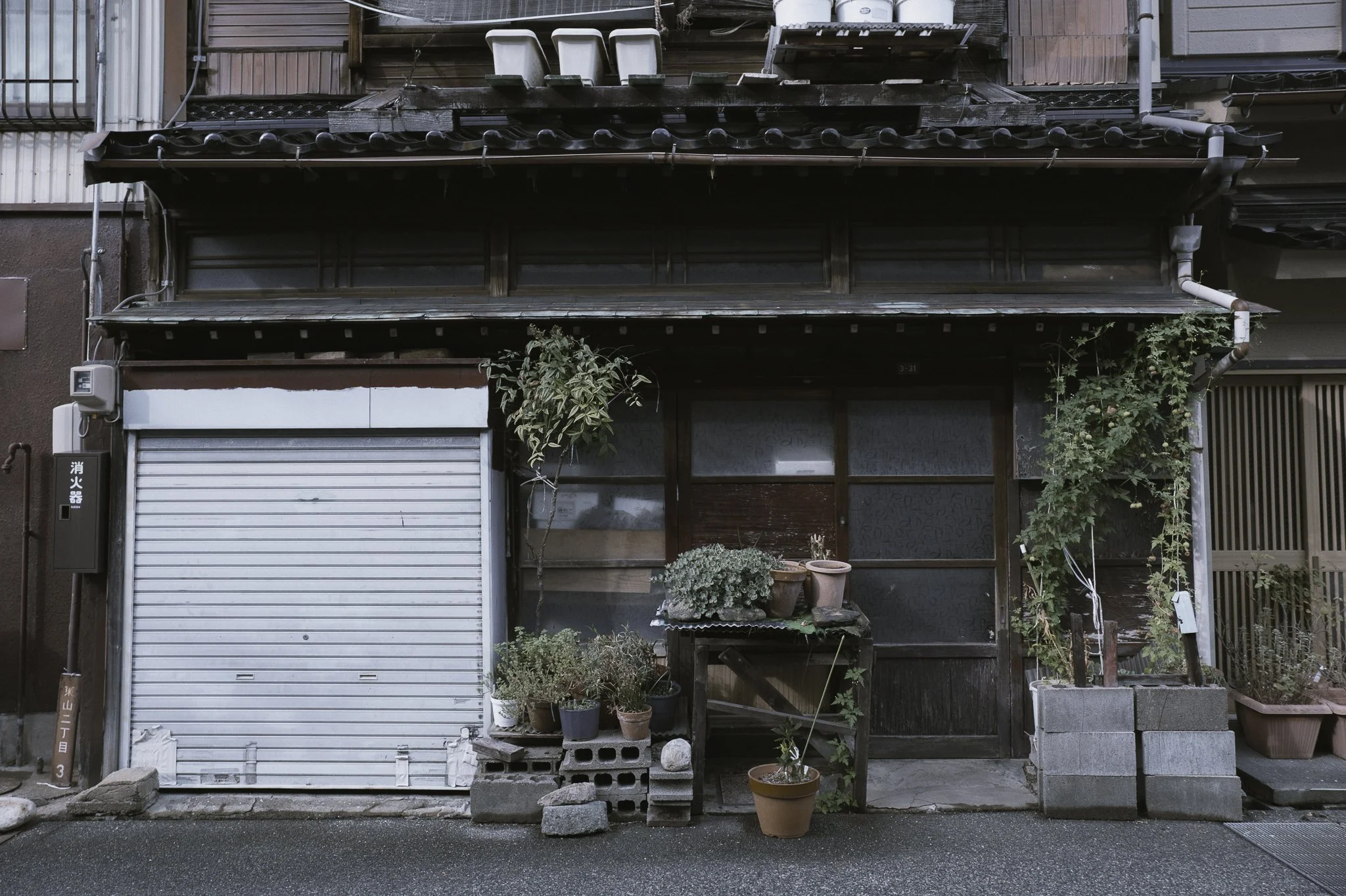 Edificio vecchio con una serranda bianca abbassata, piante in vaso di varie dimensioni e colori davanti alla porta e al muro, con alcune pietre e mattoni sotto. La facciata presenta vetri e pannelli in legno di colore scuro.
