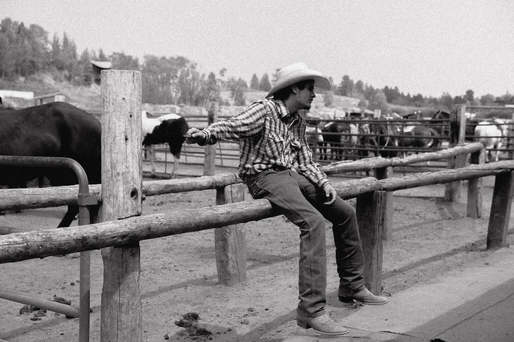 Ragazzo seduto sul recinto di una fattoria, che guarda verso destra, con cappello da cowboy, camicia a quadri e jeans, mentre tiene in mano un filo di recinzione, con mucche sullo sfondo.