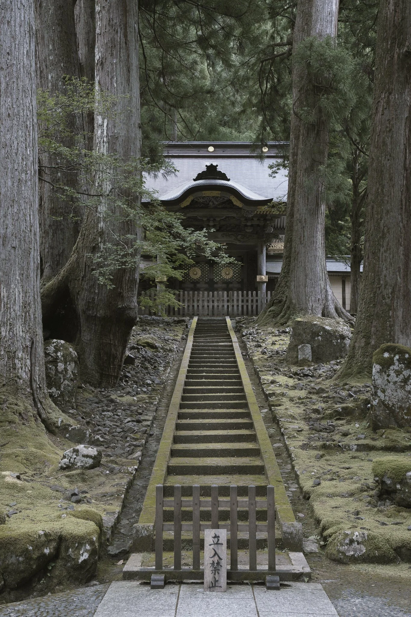 Sentiero di pietra che porta a un tempio tradizionale giapponese circondato da grandi alberi.
