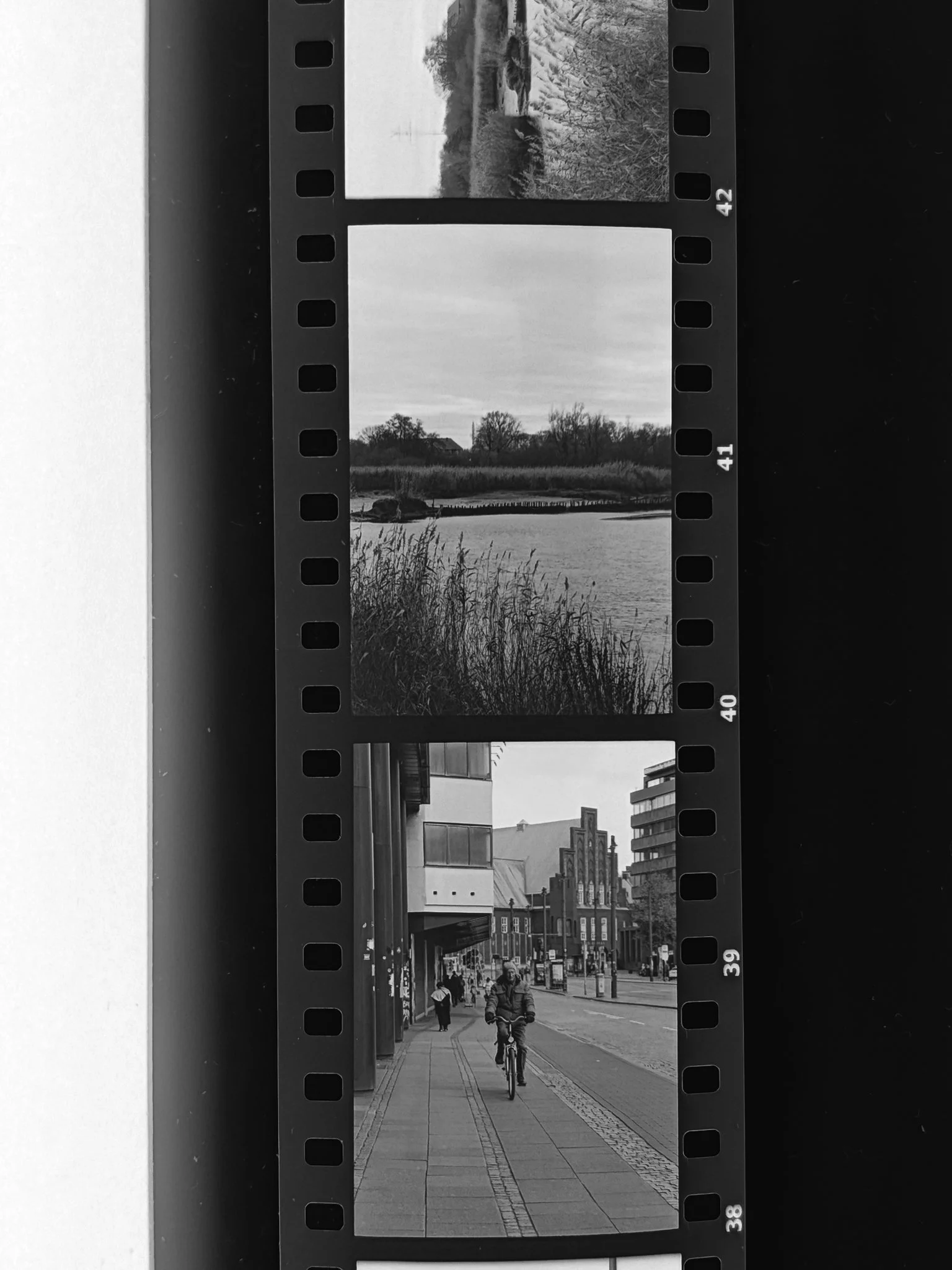 Una striscia di pellicola cinematografica con tre foto in bianco e nero. La prima mostra un paesaggio fluviale con alberi e un cielo nuvoloso, la seconda un paesaggio naturale con un lago e arbusti, la terza una scena urbana con persone e edifici.