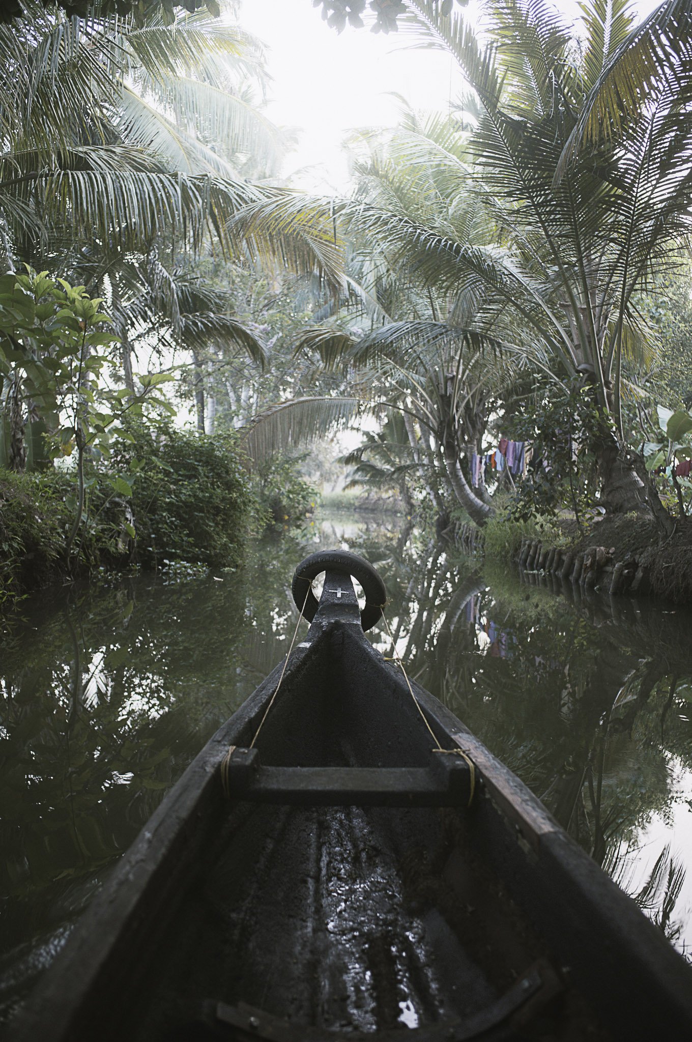Imbarcazione di legno che naviga attraverso un fiume circondato da vegetazione tropicale, con palme e panni appesi a un albero