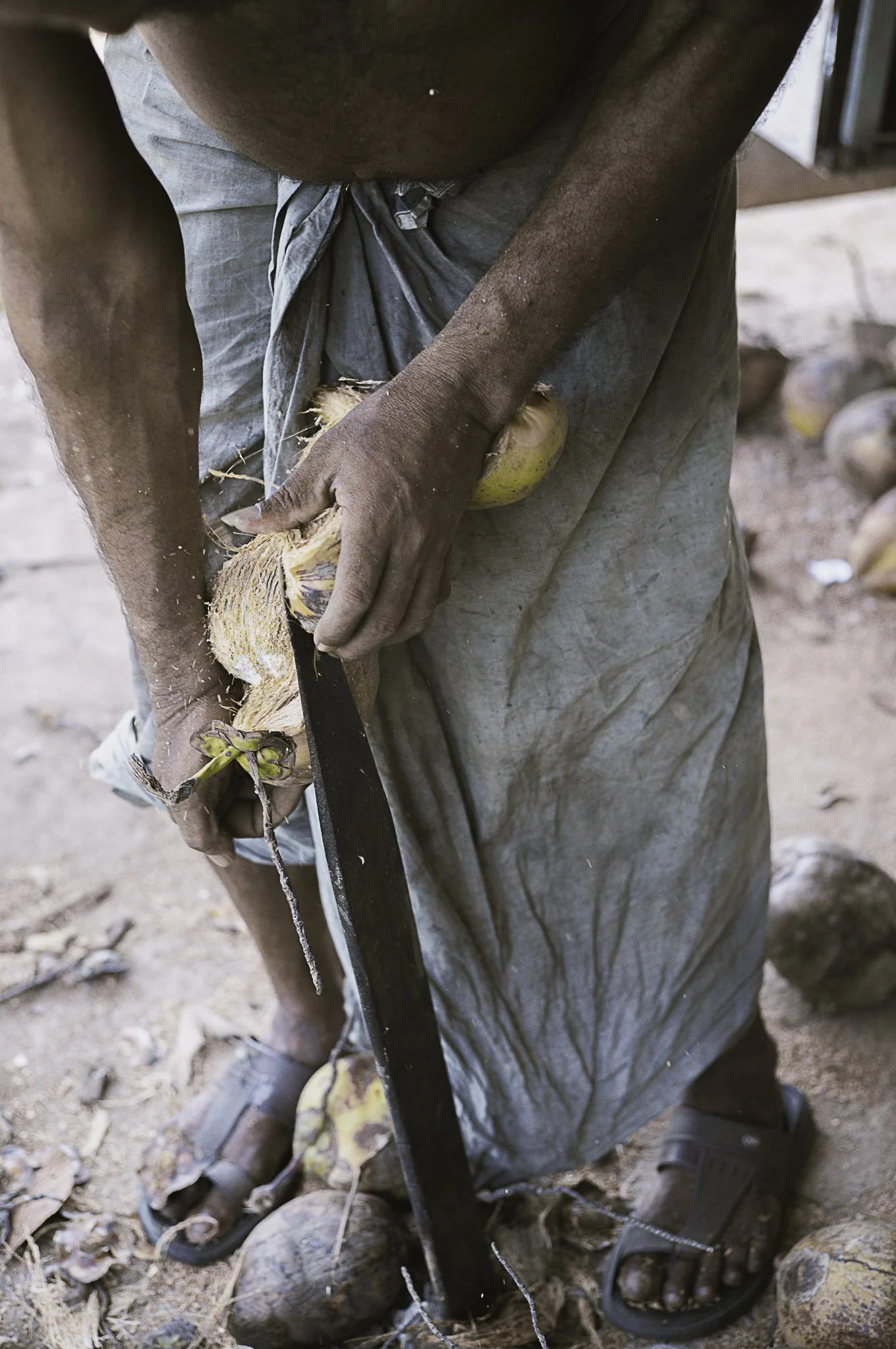 Una persona che taglia un cocco con un coltello, indossando sandali e vestiti usurati, in un ambiente naturale.