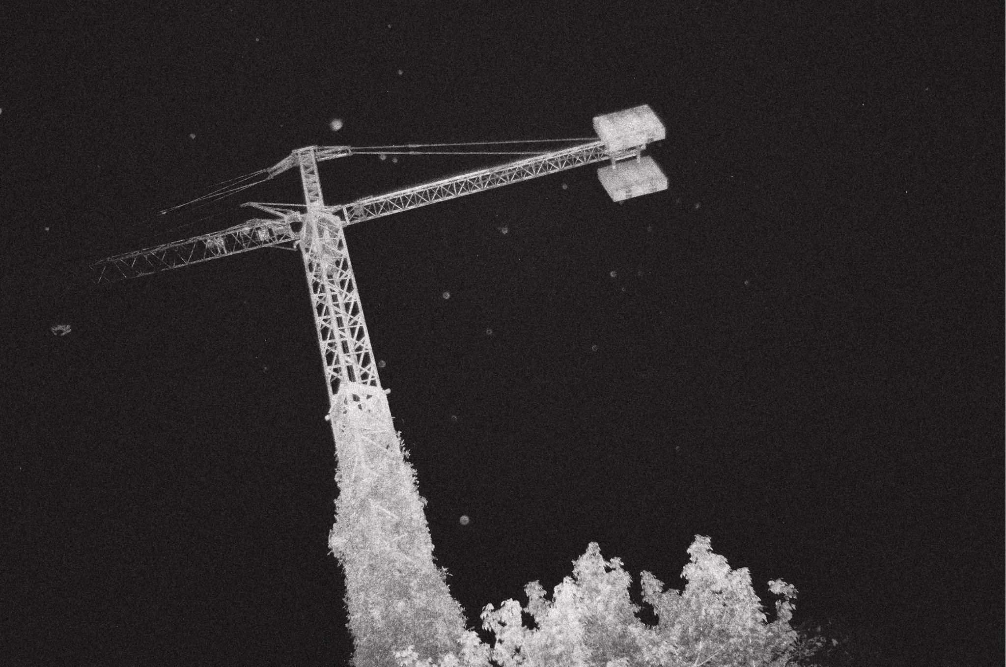 Immagine in bianco e nero di una torre di gru che esce da un albero ricoperto di neve, con uno sfondo di cielo stellato.