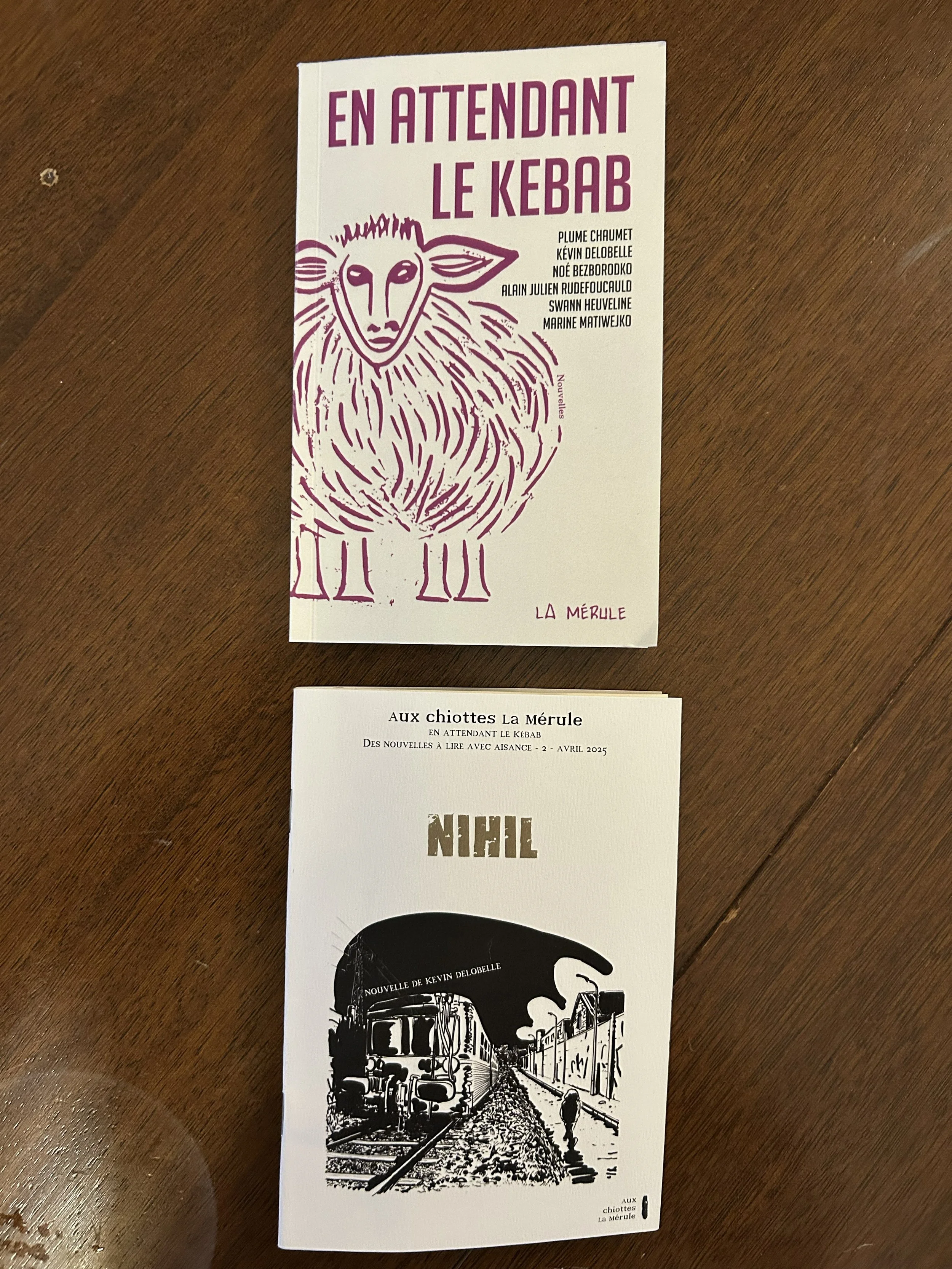Deux brochures sur une table en bois. La première colorée en violet, intitulée "En attendant le kebab" avec une illustration d'une bergerie au style graphique. La seconde, en noir et blanc, intitulée "Aux chiottes" avec une illustration d'une station de métro.