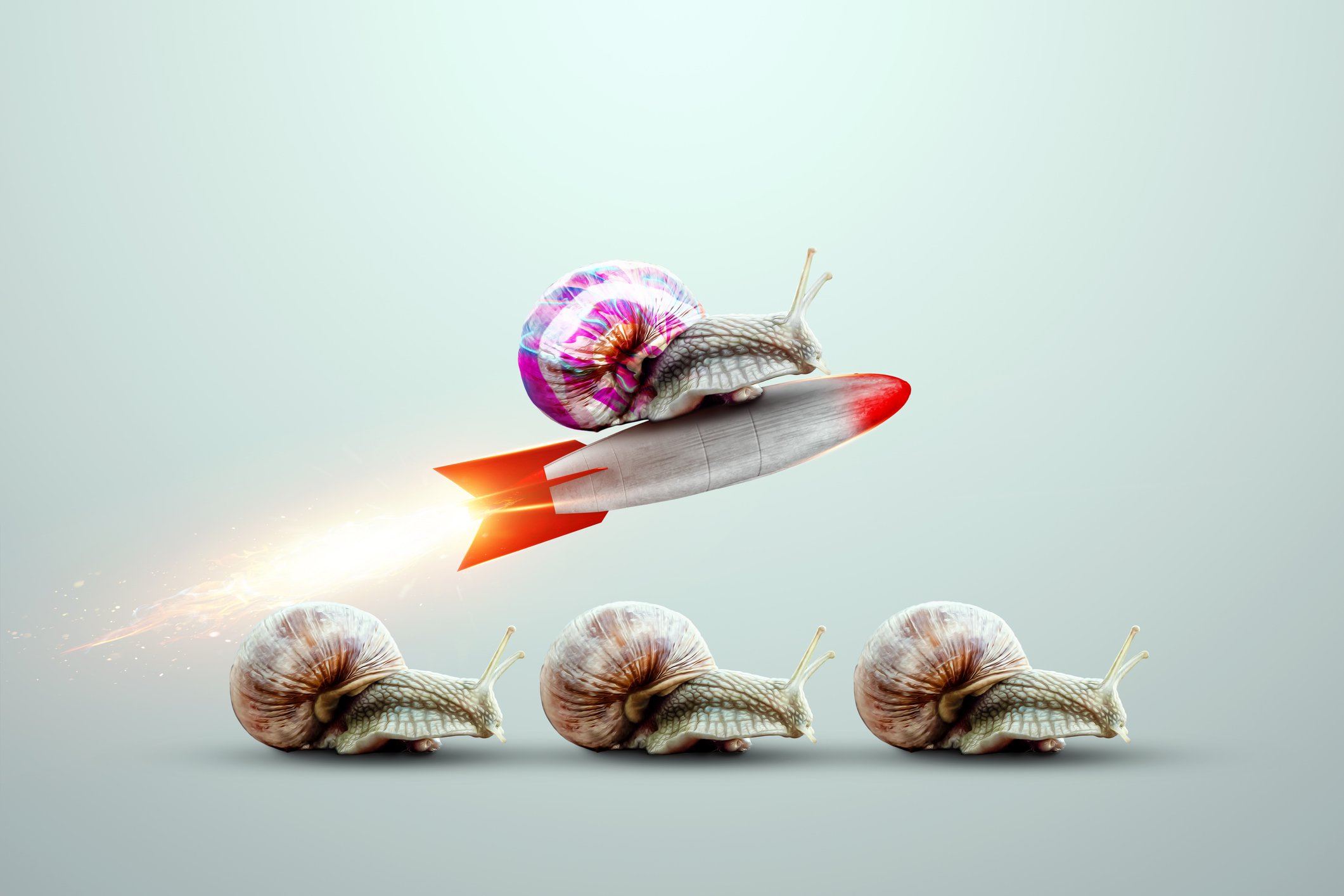 A rocket with a snail on top of it is flying through the air, while three other snails are lined up on the ground below, facing to the right.