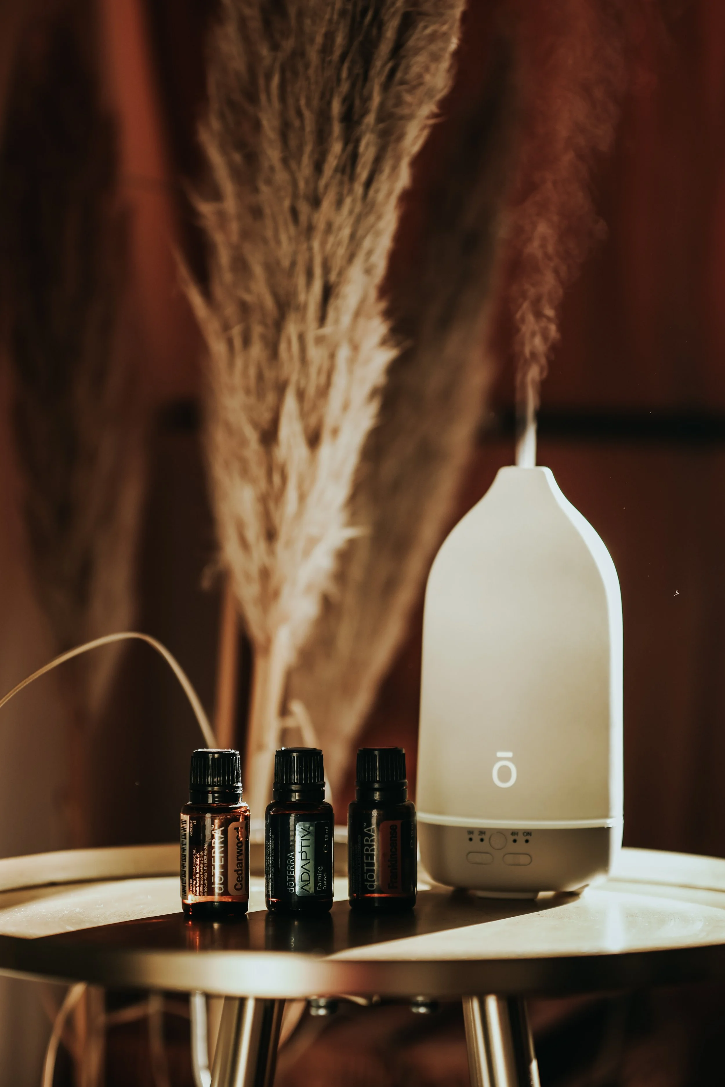 Drei dōTERRA Öle und ein Aromatherapie-Diffuser auf dem Tisch – Aromatische Anwendung ätherischer Öle zur Regulierung des Nervensystems – Christin Reese