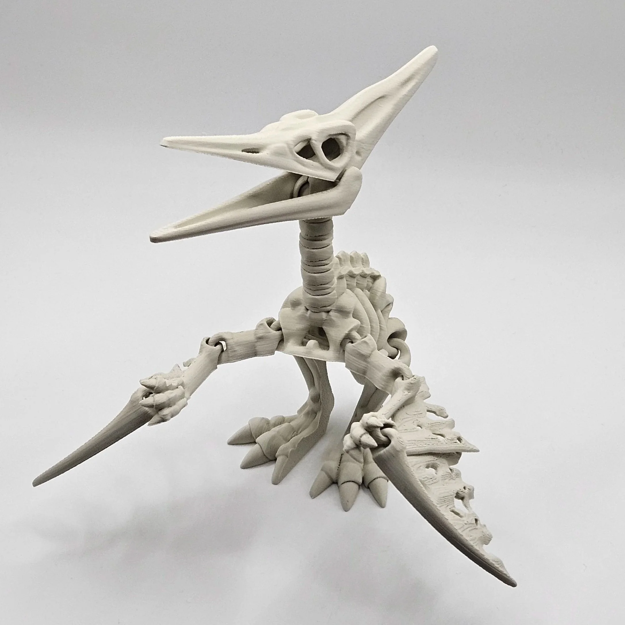 Pteranodon "Dinosaur" Skeleton Model